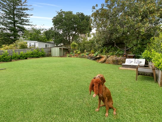 Property listing image