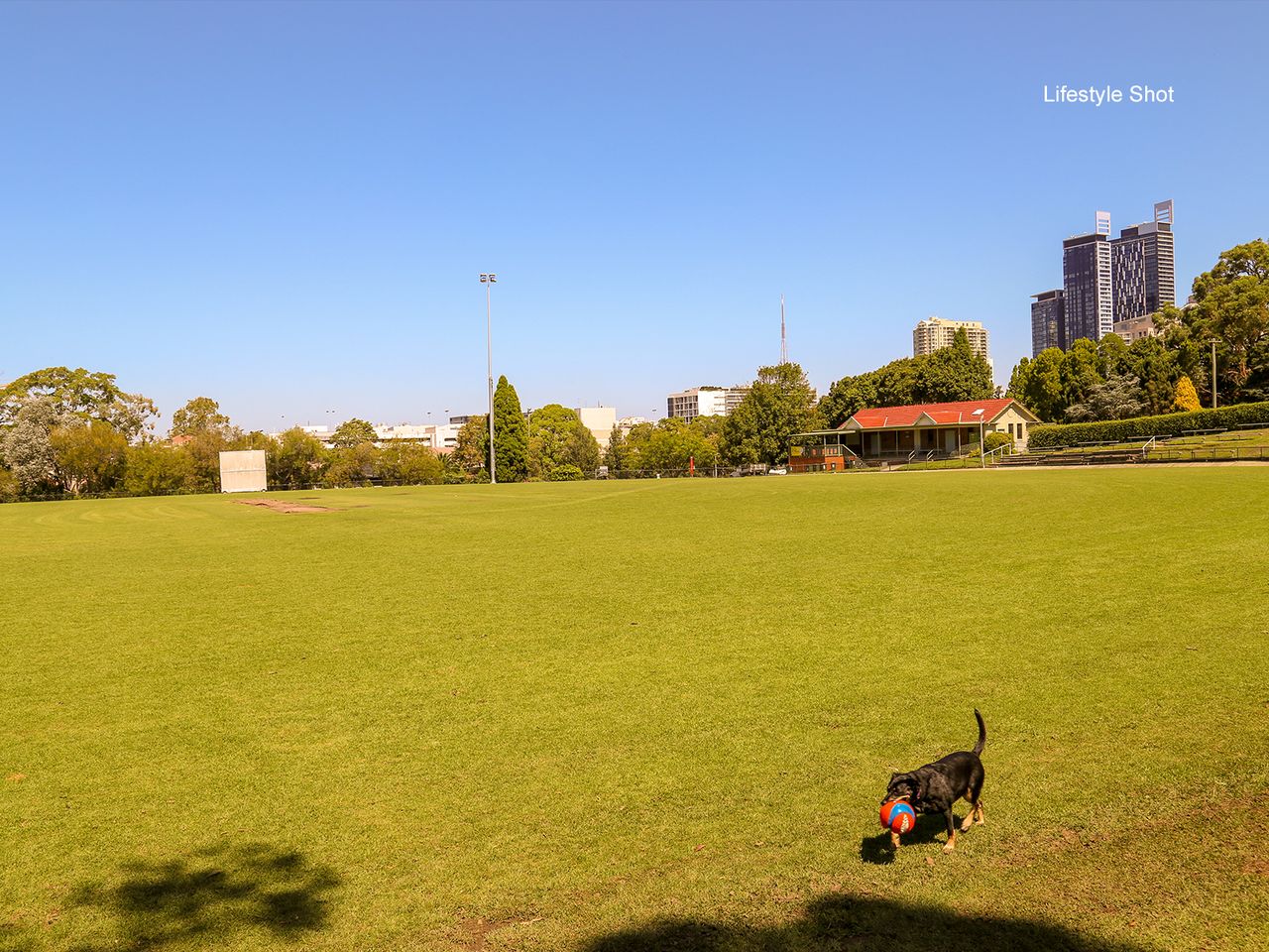 Property listing image