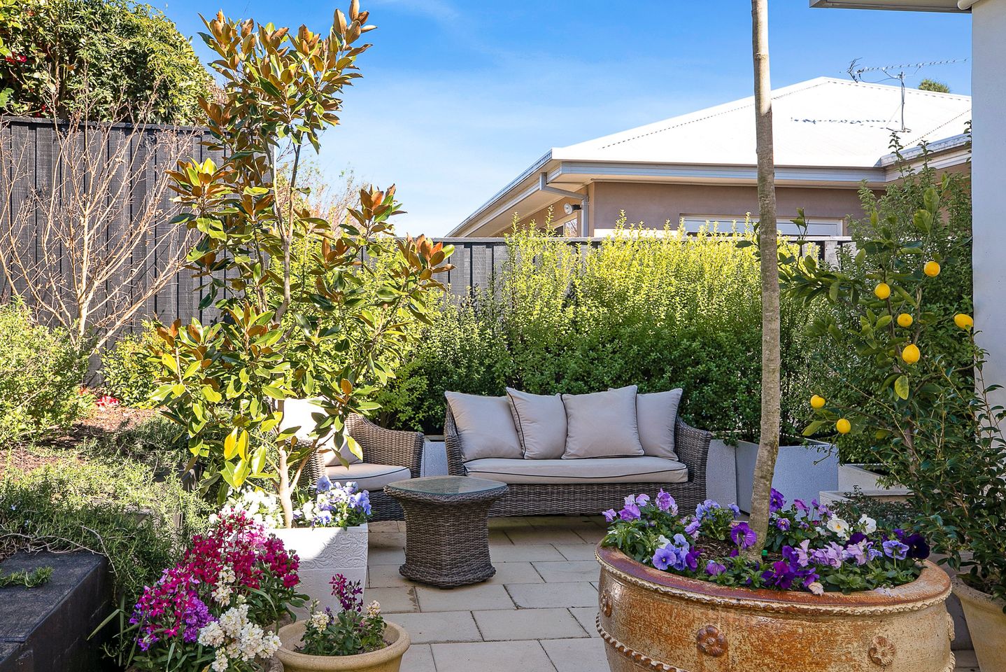 Property listing image