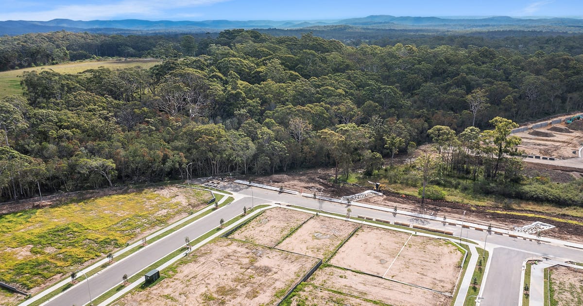 24 Honey Tree Road, Woongarrah NSW 2259 | DiJones Real Estate