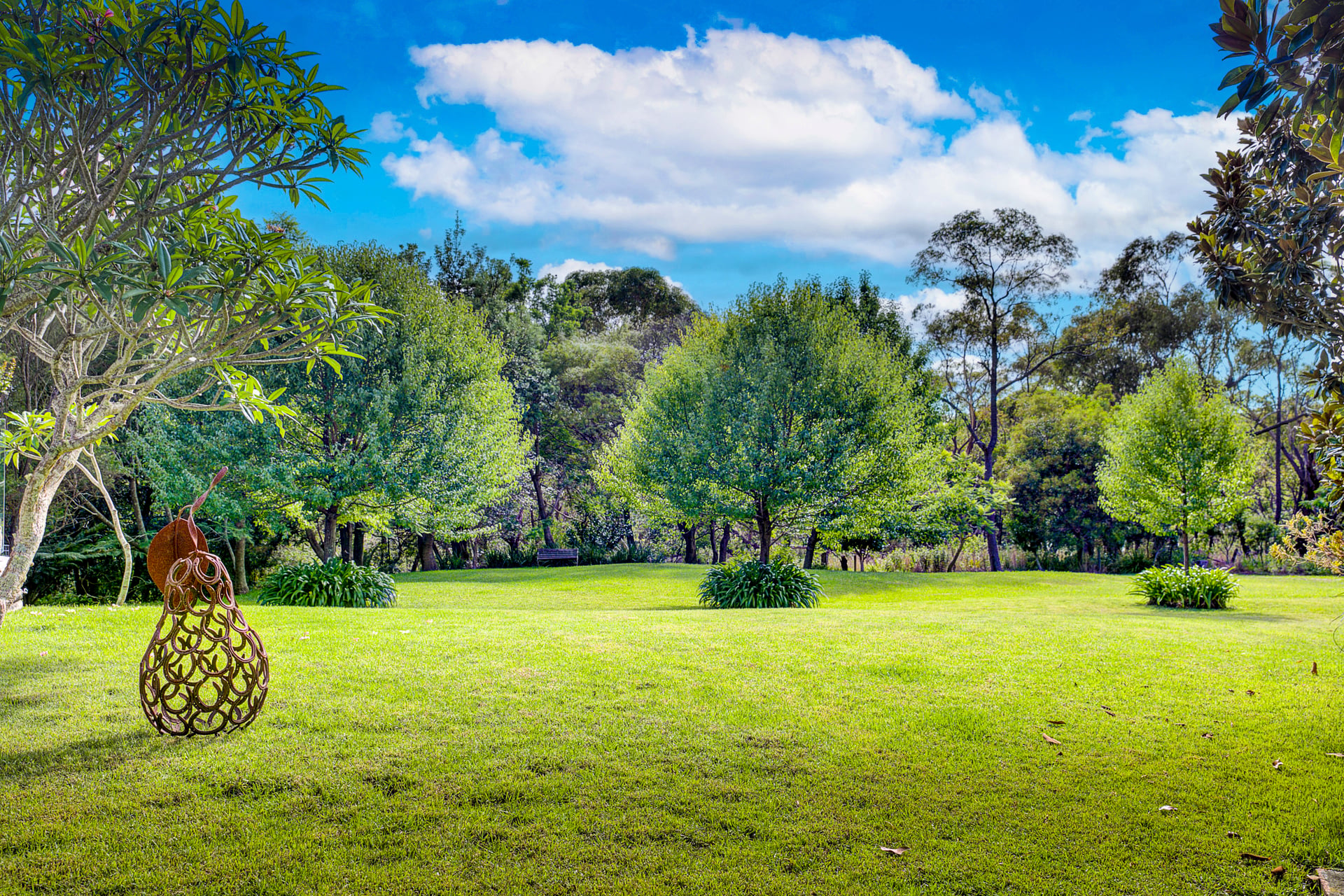 40 Kedumba Crescent, Turramurra, NSW, 2074, North Turramurra - Thumbnail 8