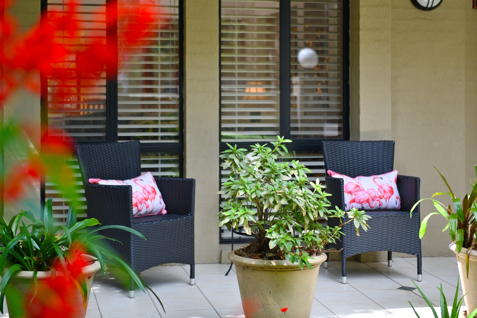 278 Kissing Point Road, Turramurra, NSW, 2074, Turramurra - Thumbnail 7