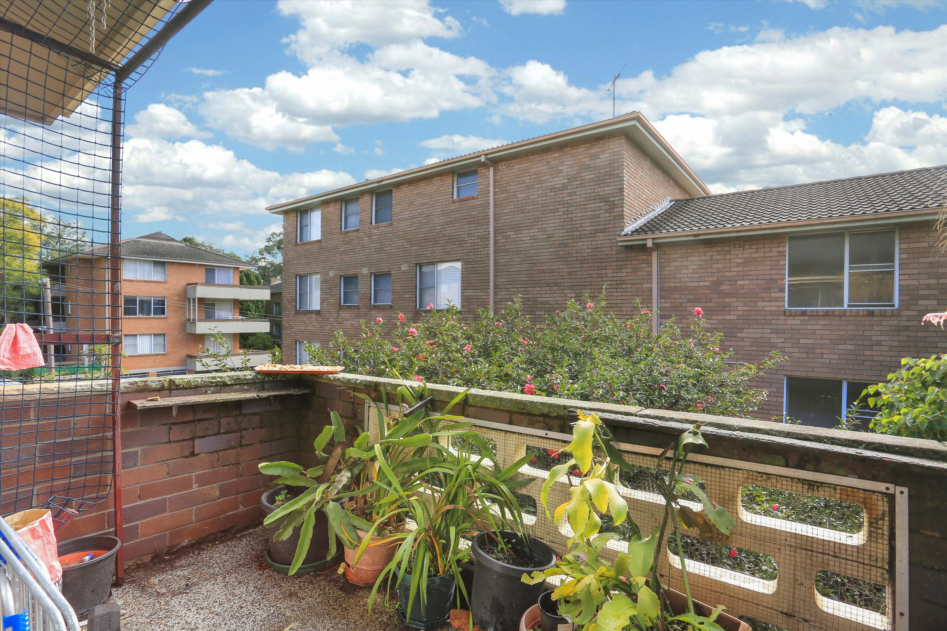 8/3 Muriel Street, Hornsby, NSW, 2077, Hornsby - Thumbnail 4