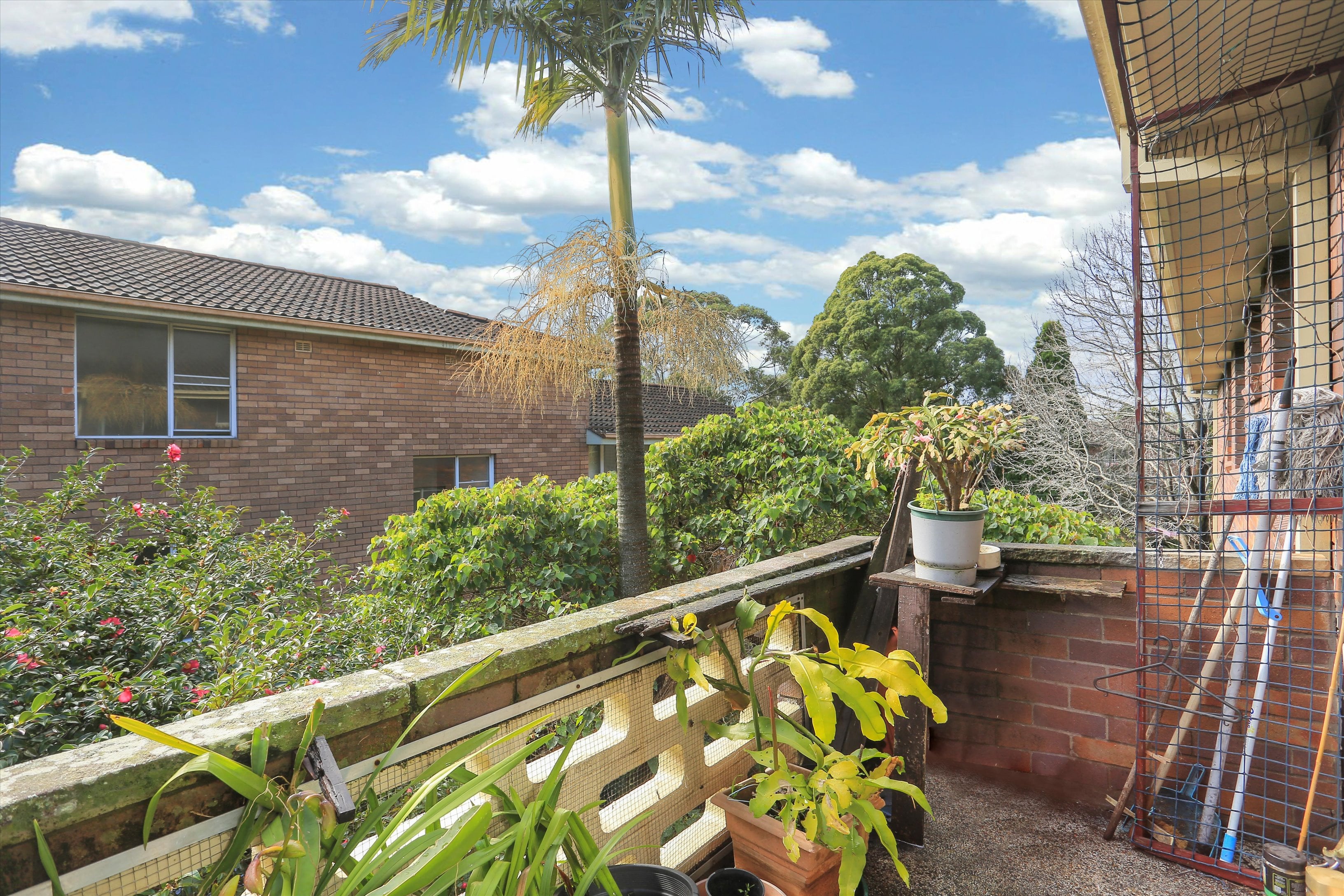 8/3 Muriel Street, Hornsby, NSW, 2077, Hornsby - Thumbnail 7
