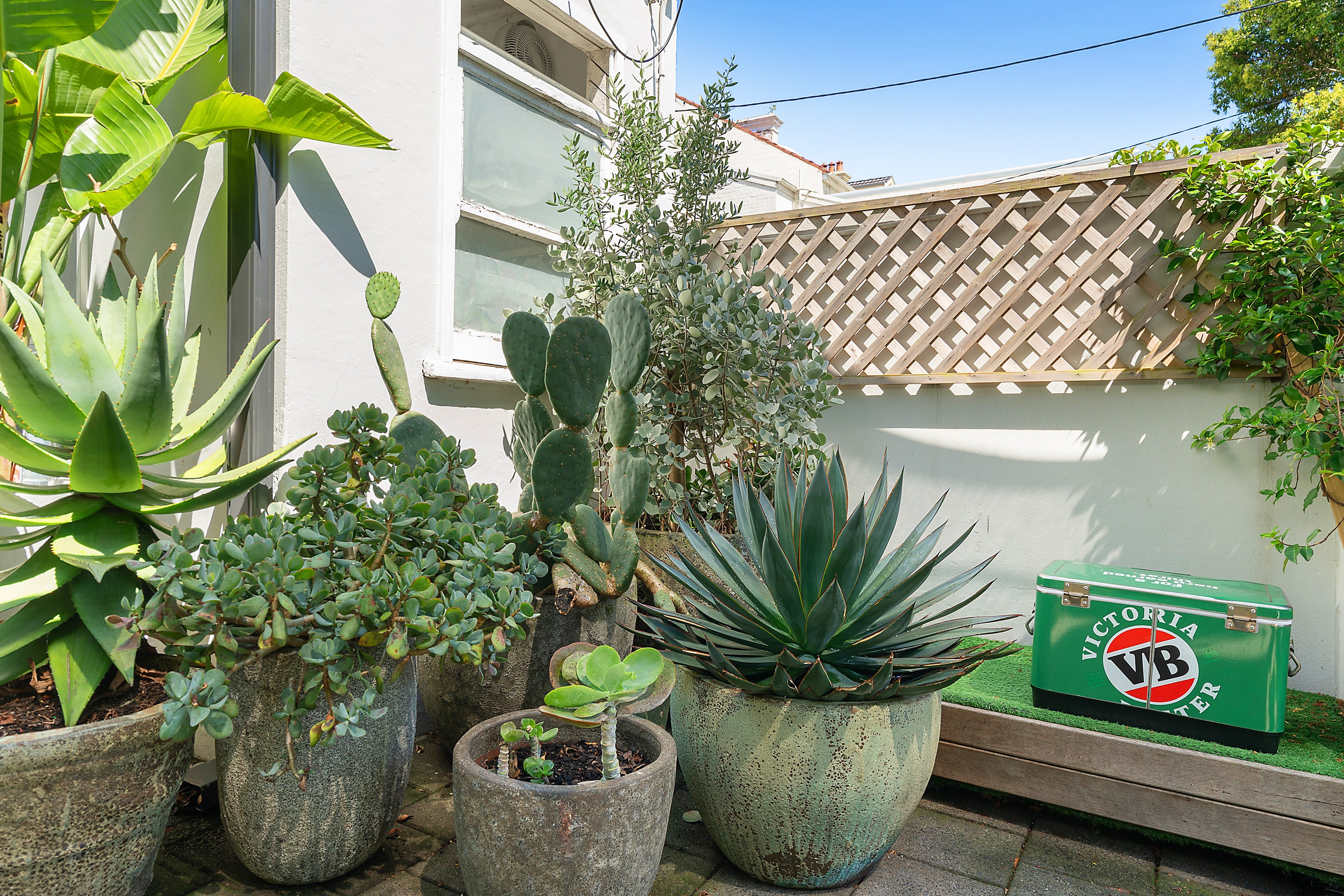 164 Hargrave Street, Paddington, NSW, 2021, Paddington - Thumbnail 5