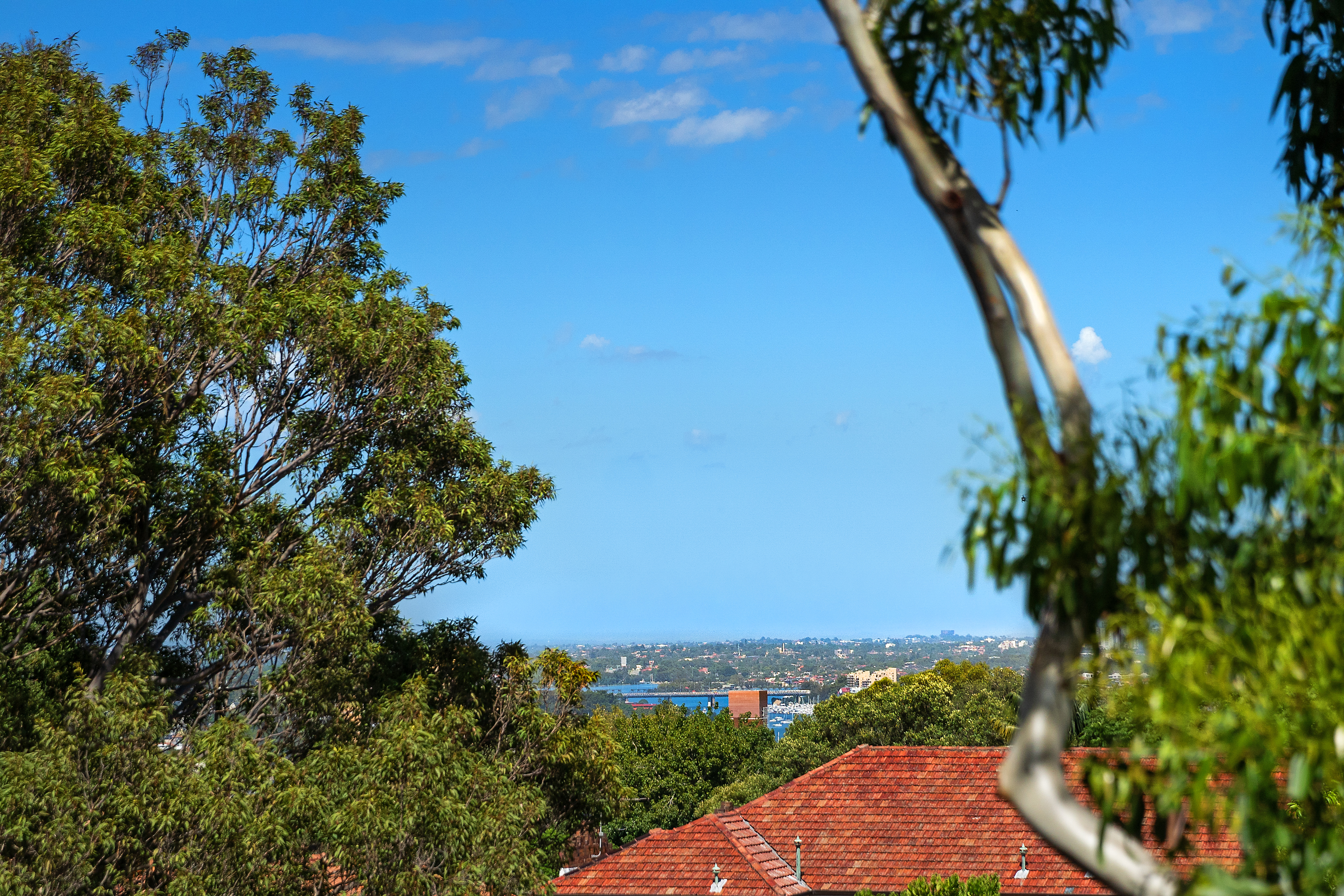 14/12-14 Bay Road, North Sydney, NSW, 2060, North Sydney - Thumbnail 5