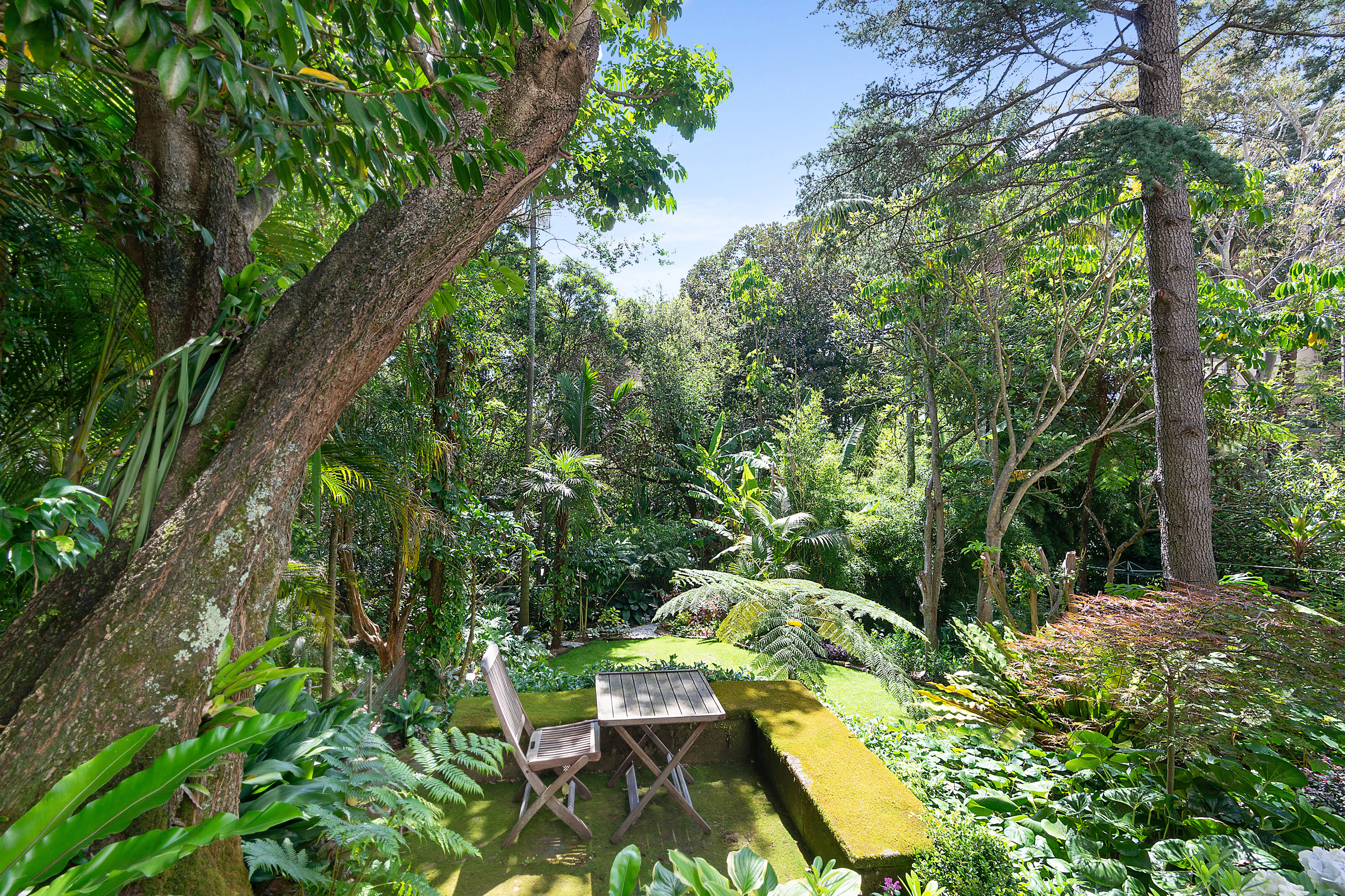 5/295A Edgecliff Road, Woollahra, NSW, 2025, Woollahra - Thumbnail 8