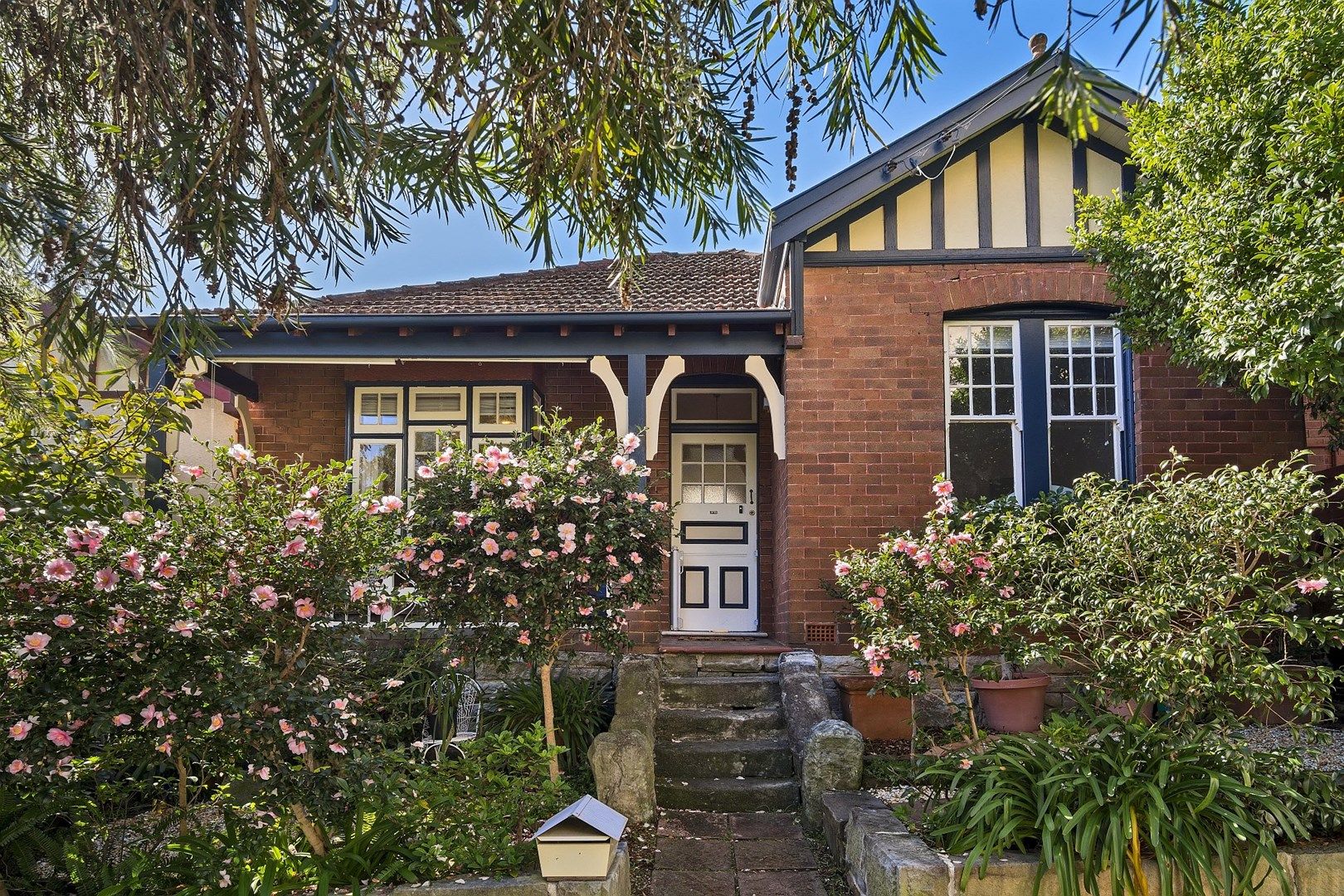 17 Abbott Street, Cammeray, NSW, 2062