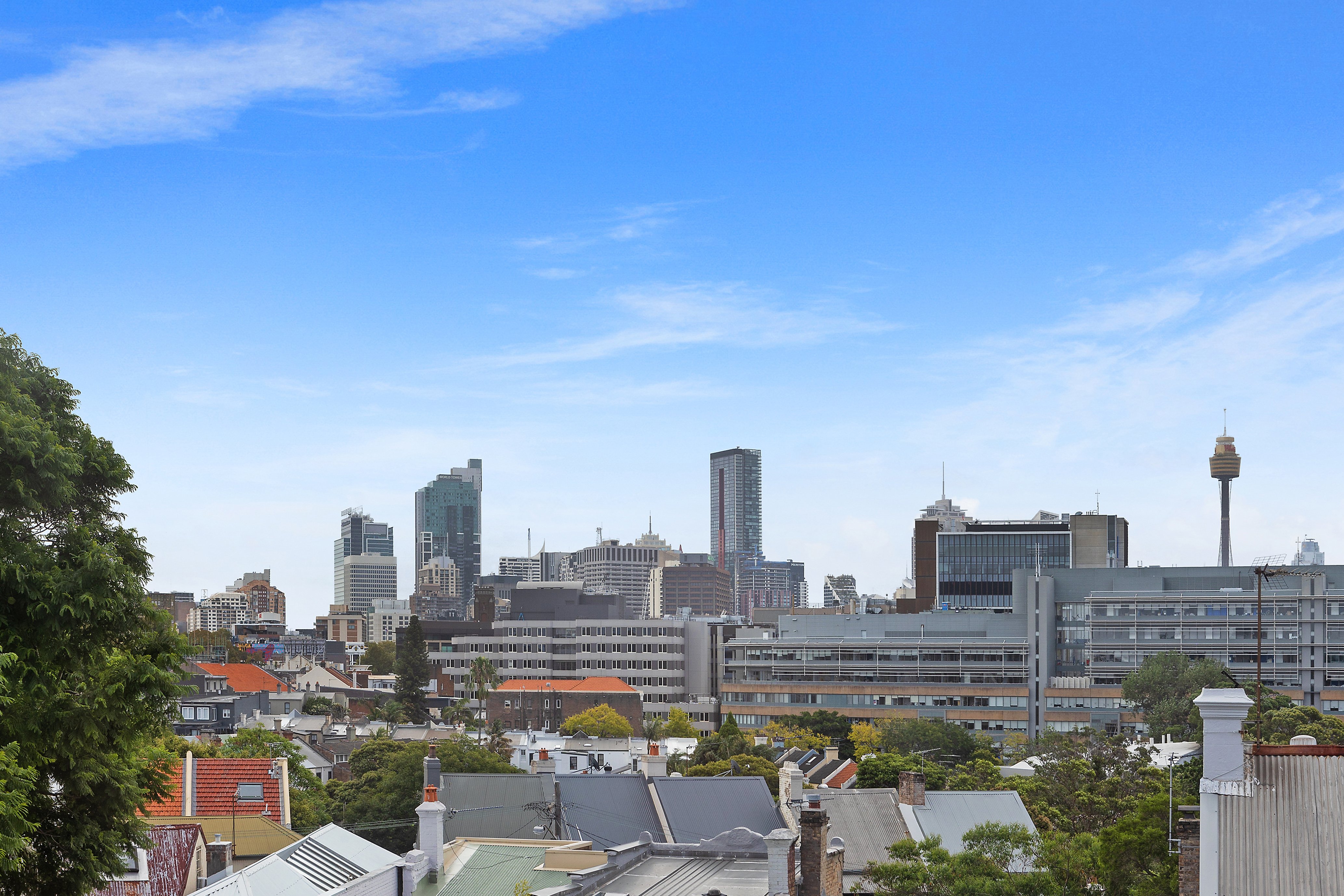 22 Prospect Street, Paddington, NSW, 2021, Paddington - Thumbnail 6