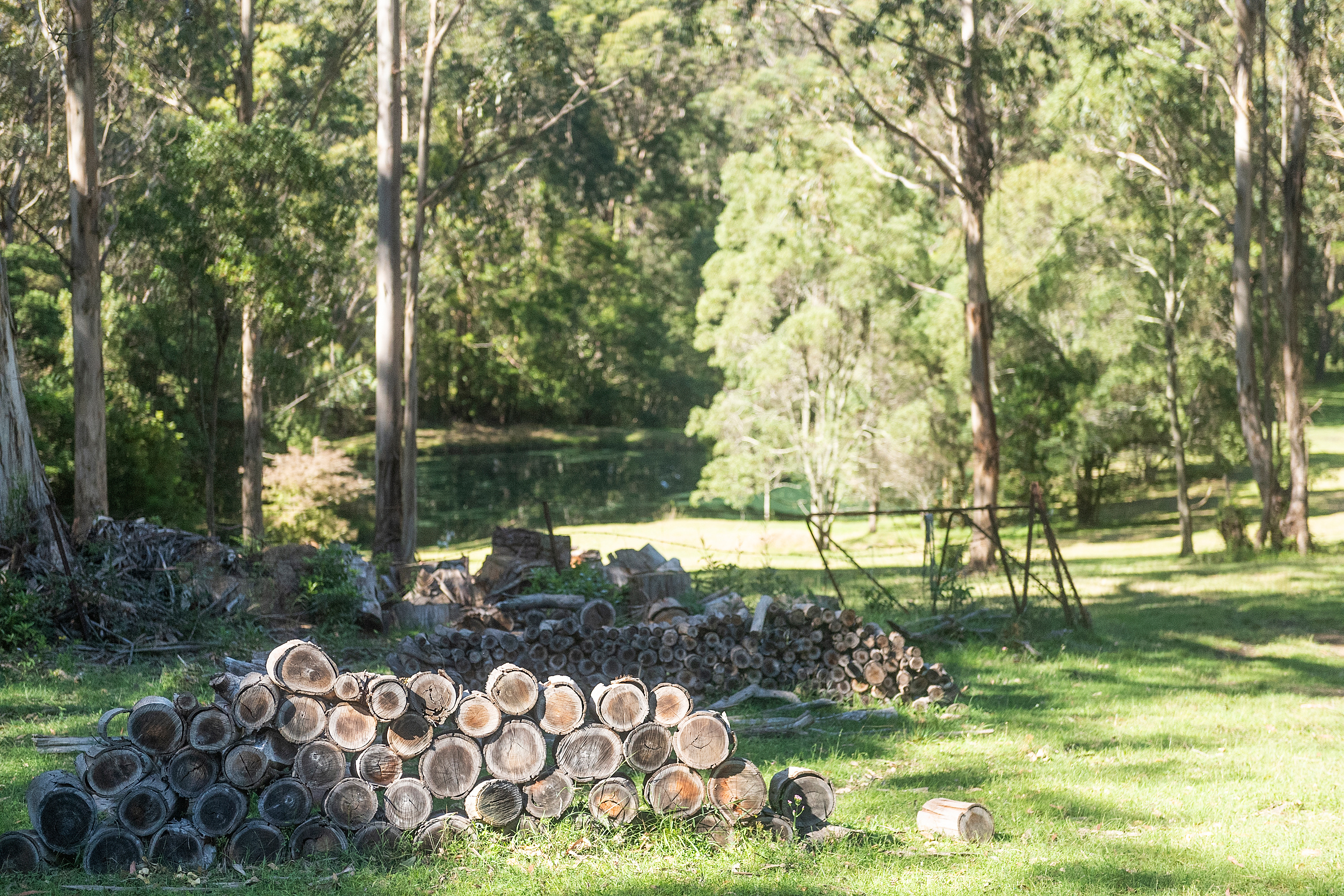 42 Osborne Street, Bundanoon, NSW, 2578, Bundanoon - Thumbnail 7