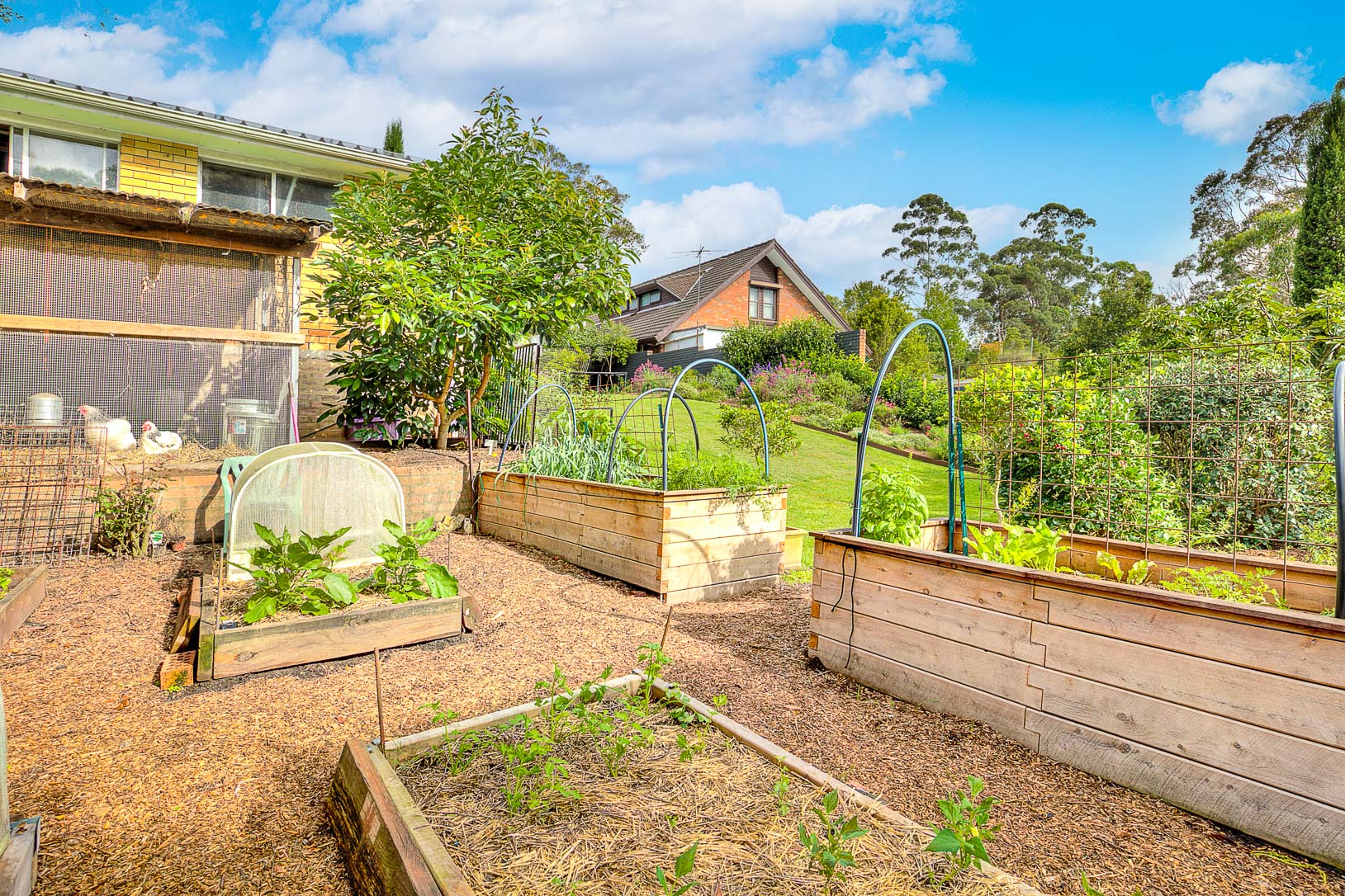 30 Somerset Avenue, Turramurra, NSW, 2074, North Turramurra - Thumbnail 7