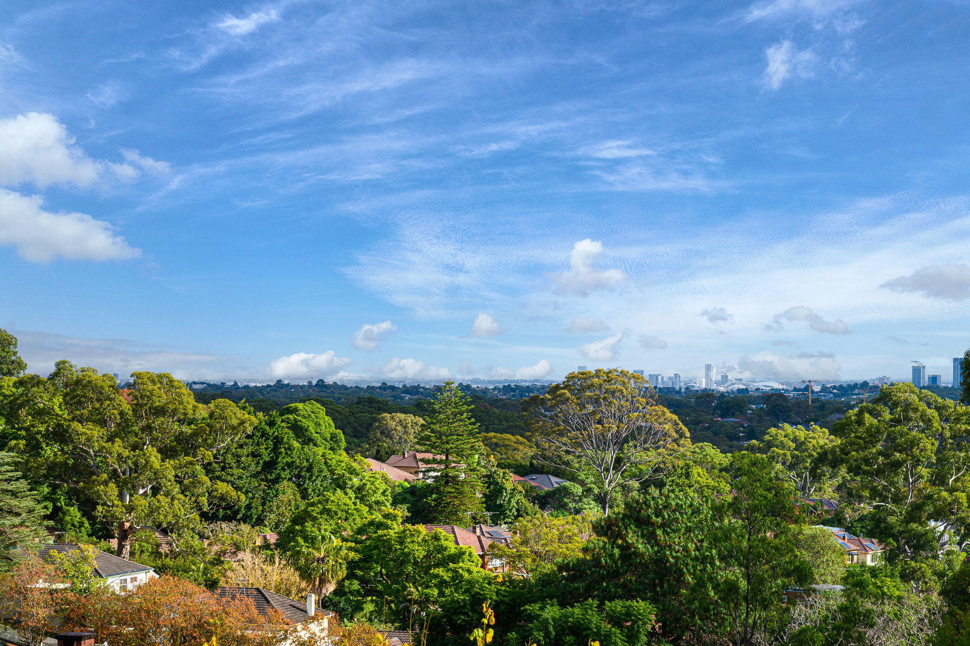 22 James Street, Chatswood, NSW, 2067, Chatswood - Thumbnail 4