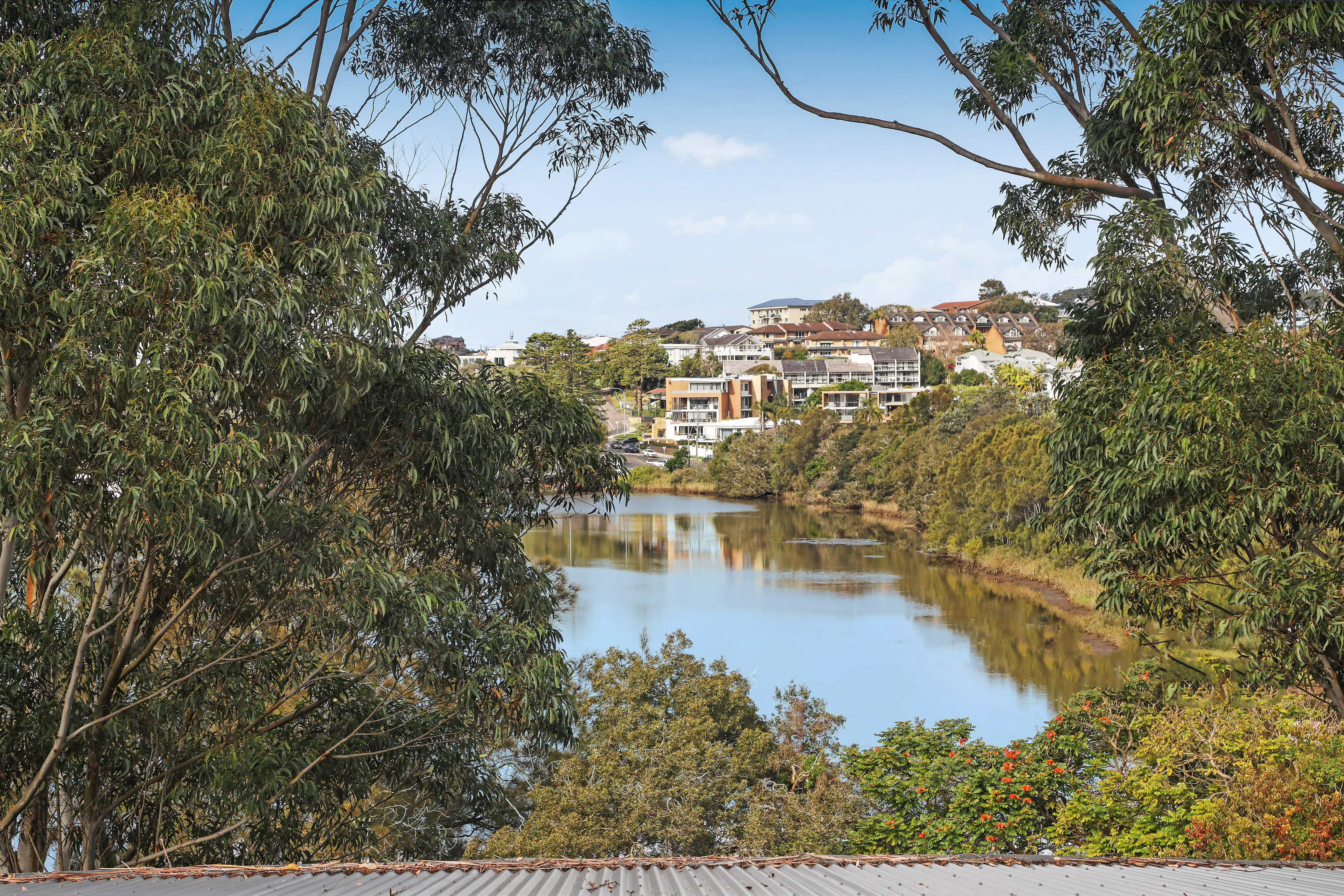 11 Sunrise Avenue, Terrigal, NSW, 2260, Terrigal - Thumbnail 6