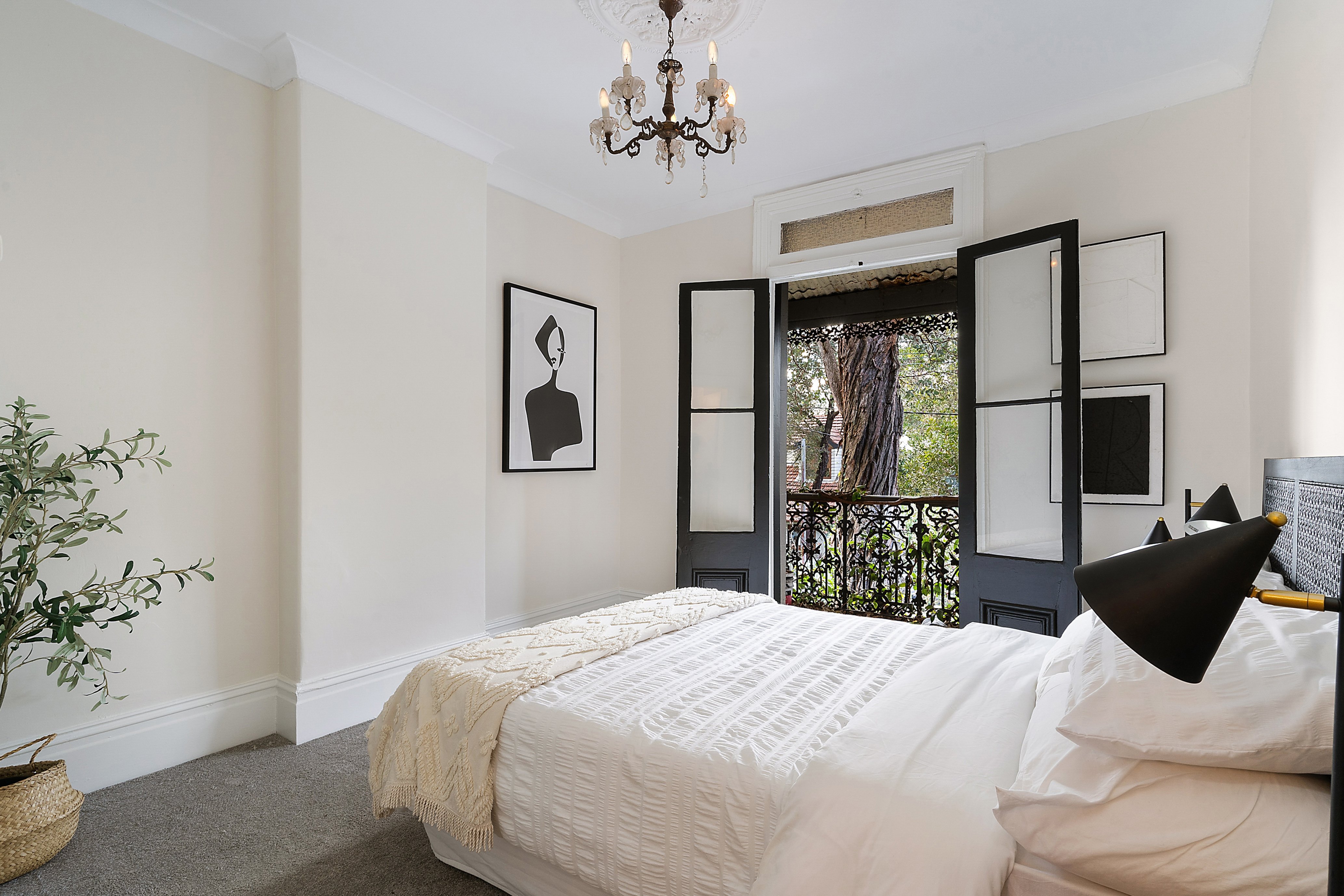 14 Macauley Street, Leichhardt, NSW, 2040, Leichhardt - Thumbnail 6