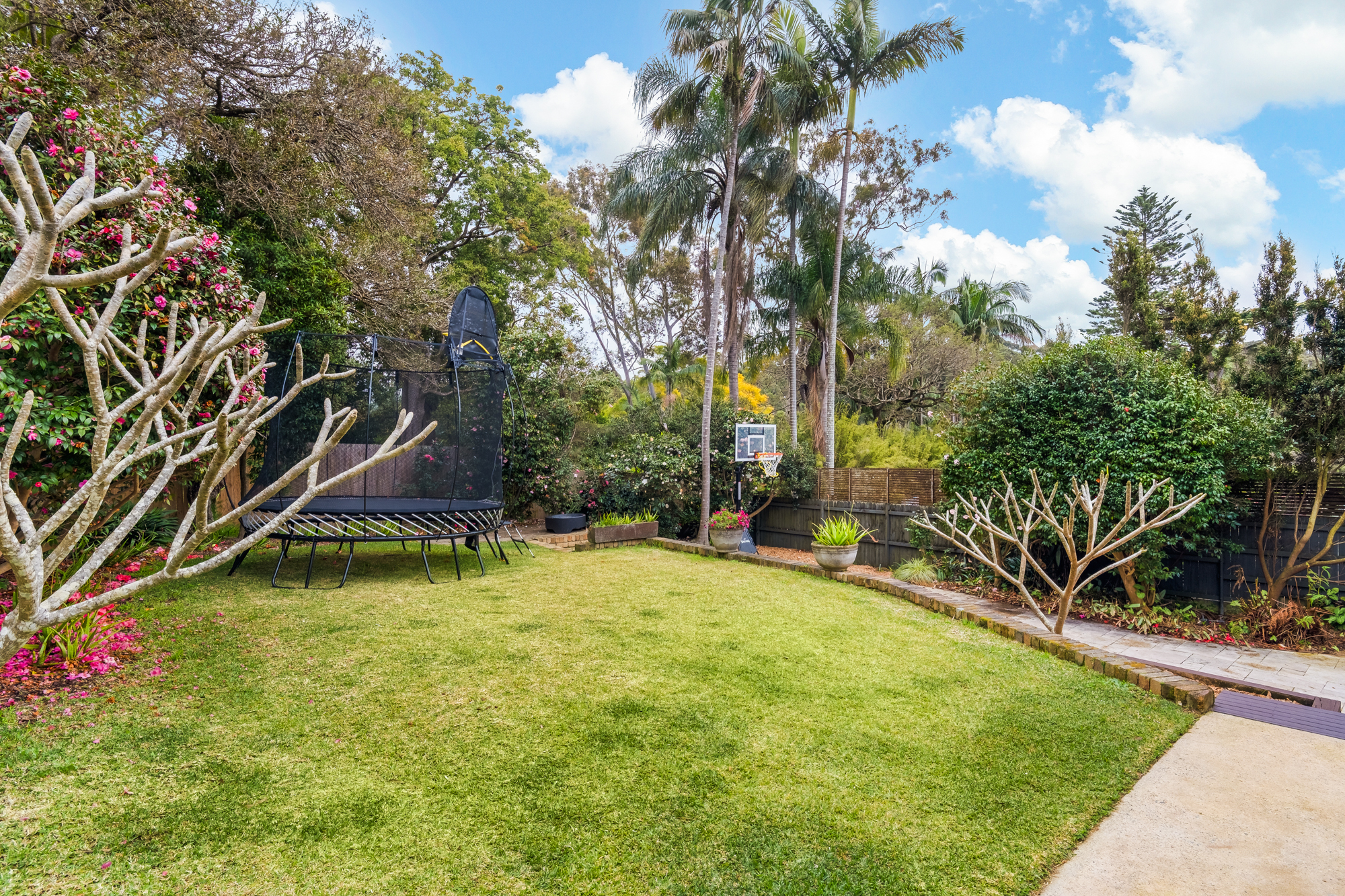 50 Malga Avenue, Roseville Chase, NSW, 2069, Roseville Chase - Thumbnail 4