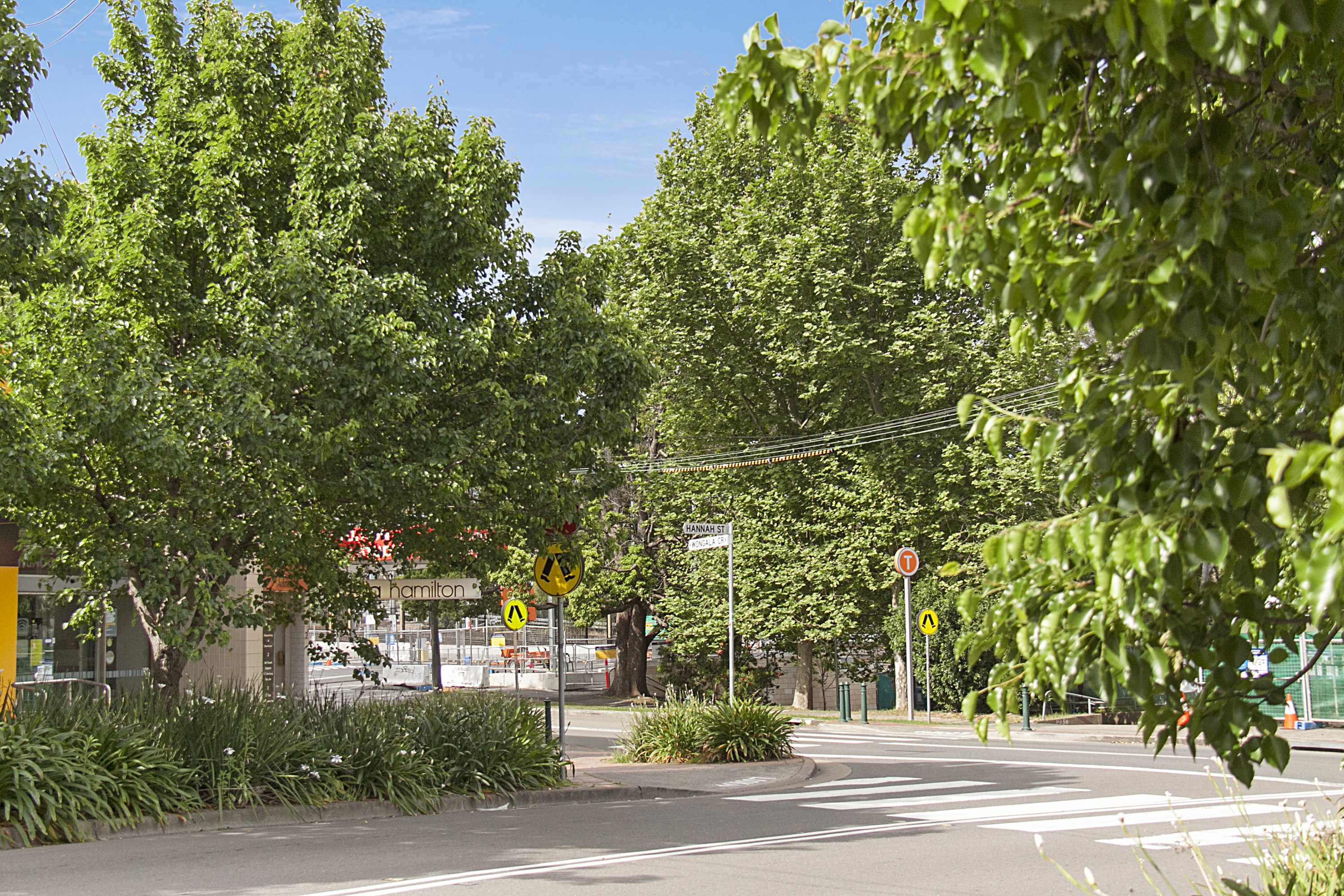 26 Cardinal Avenue, Beecroft, NSW, 2119, Beecroft - Thumbnail 2