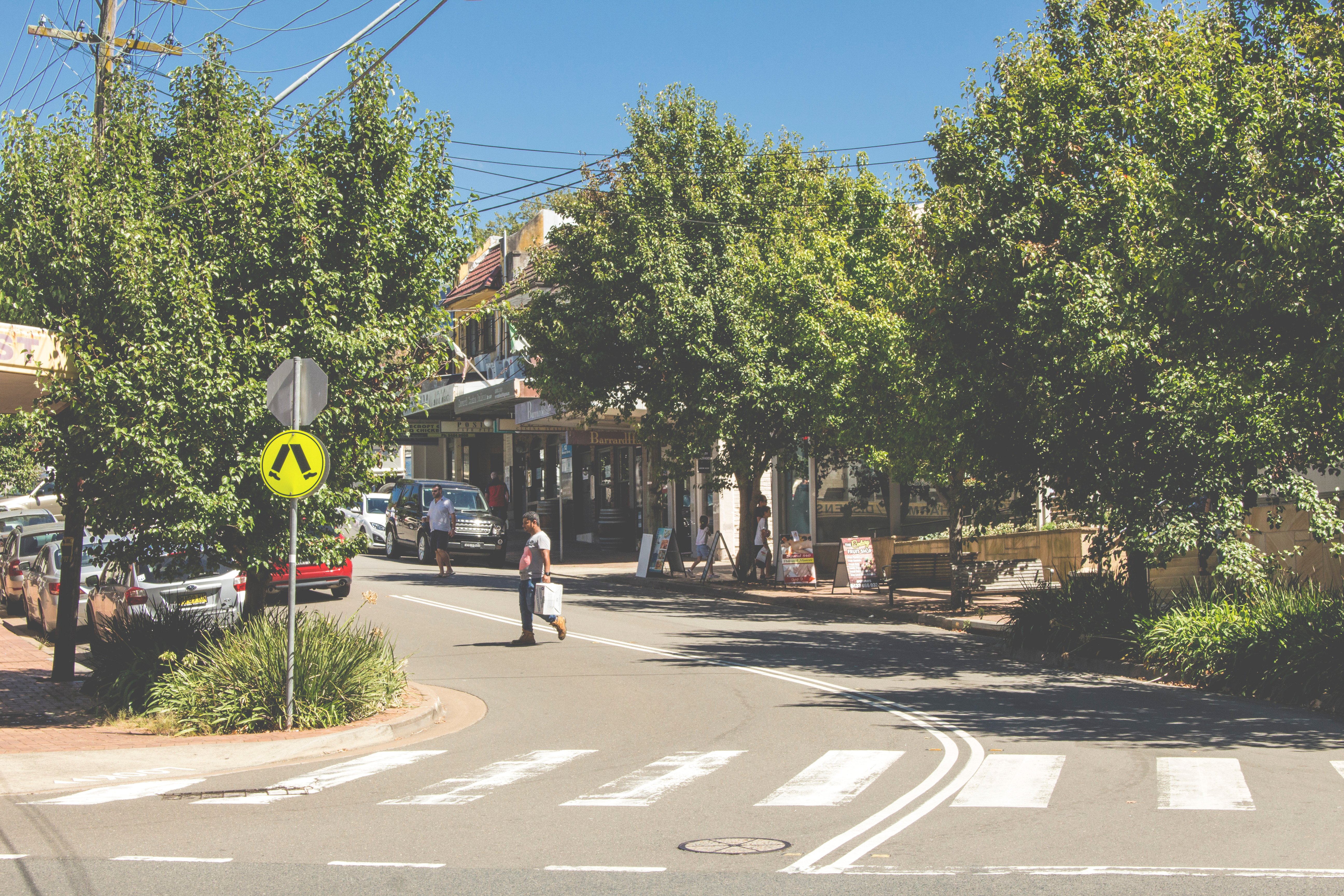 26 Cardinal Avenue, Beecroft, NSW, 2119, Beecroft - Thumbnail 3
