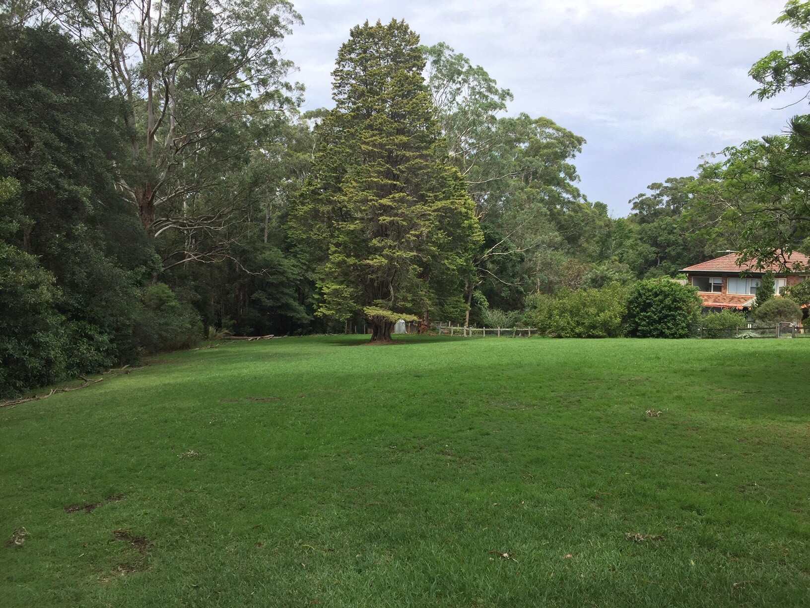 26 Cardinal Avenue, Beecroft, NSW, 2119, Beecroft - Thumbnail 5