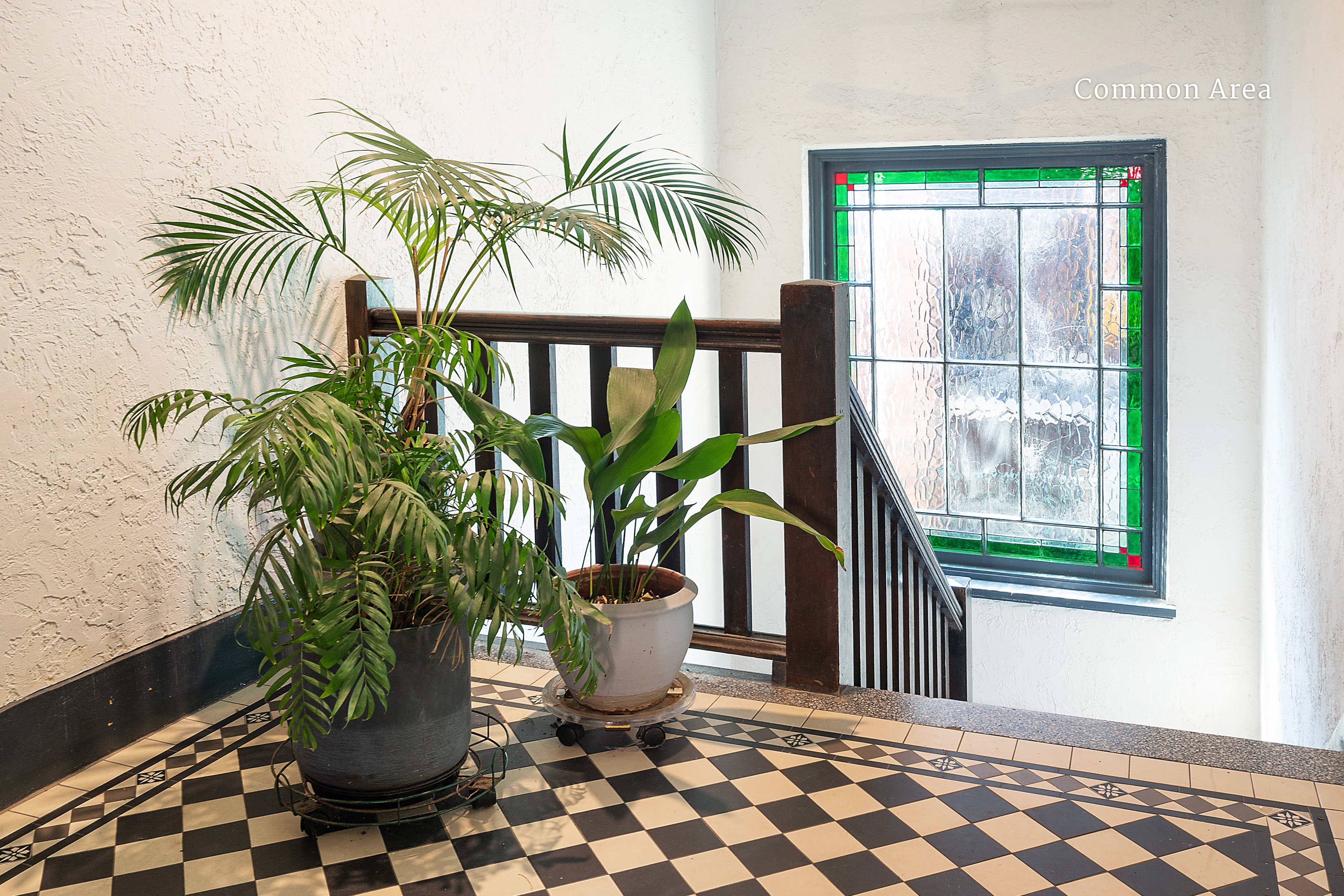 4/182 Glenmore Road, Paddington, NSW, 2021, Paddington - Thumbnail 7