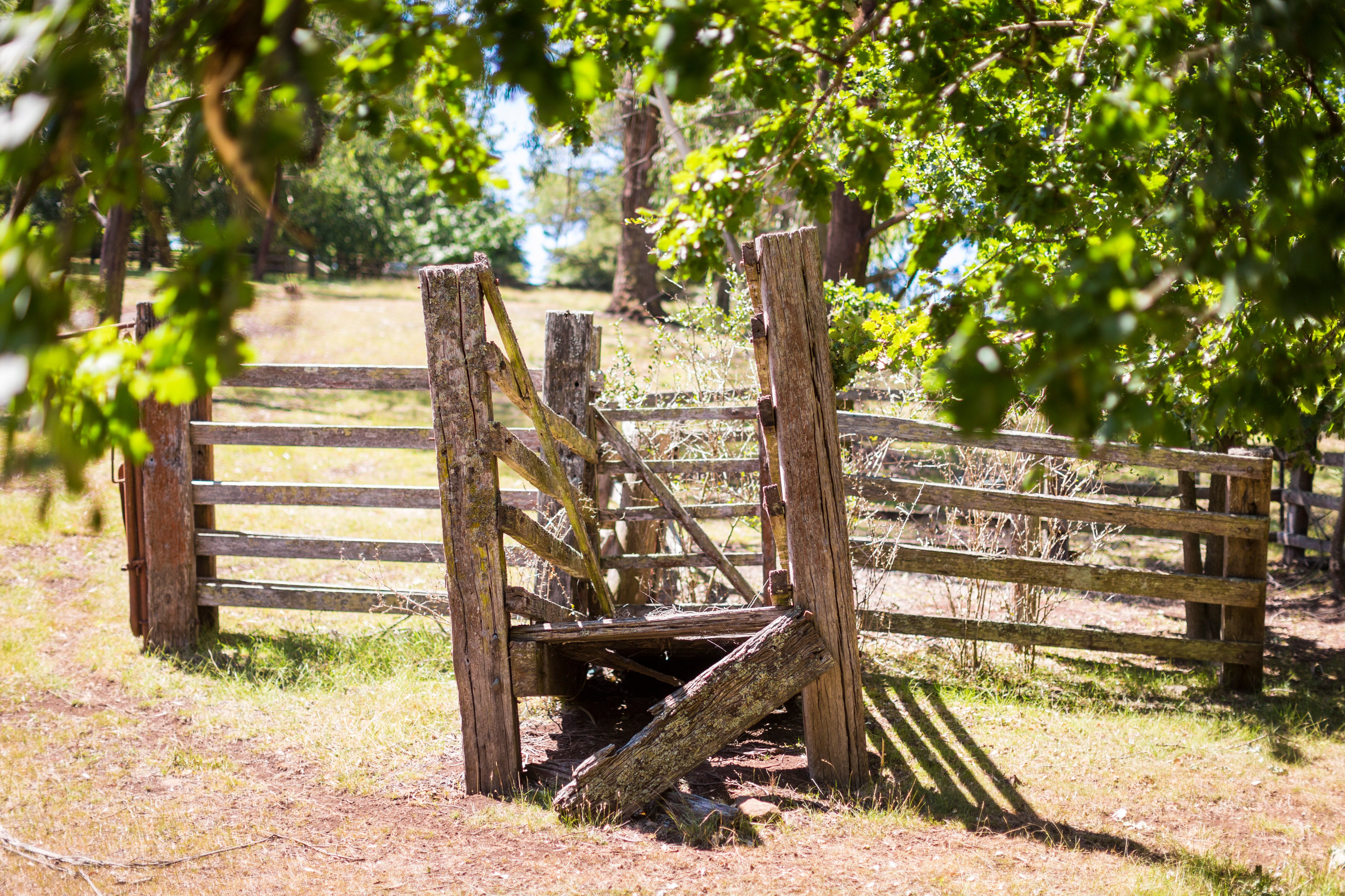 Lot 2, 58 Middle Road, Exeter, NSW, 2579, Exeter - Thumbnail 5