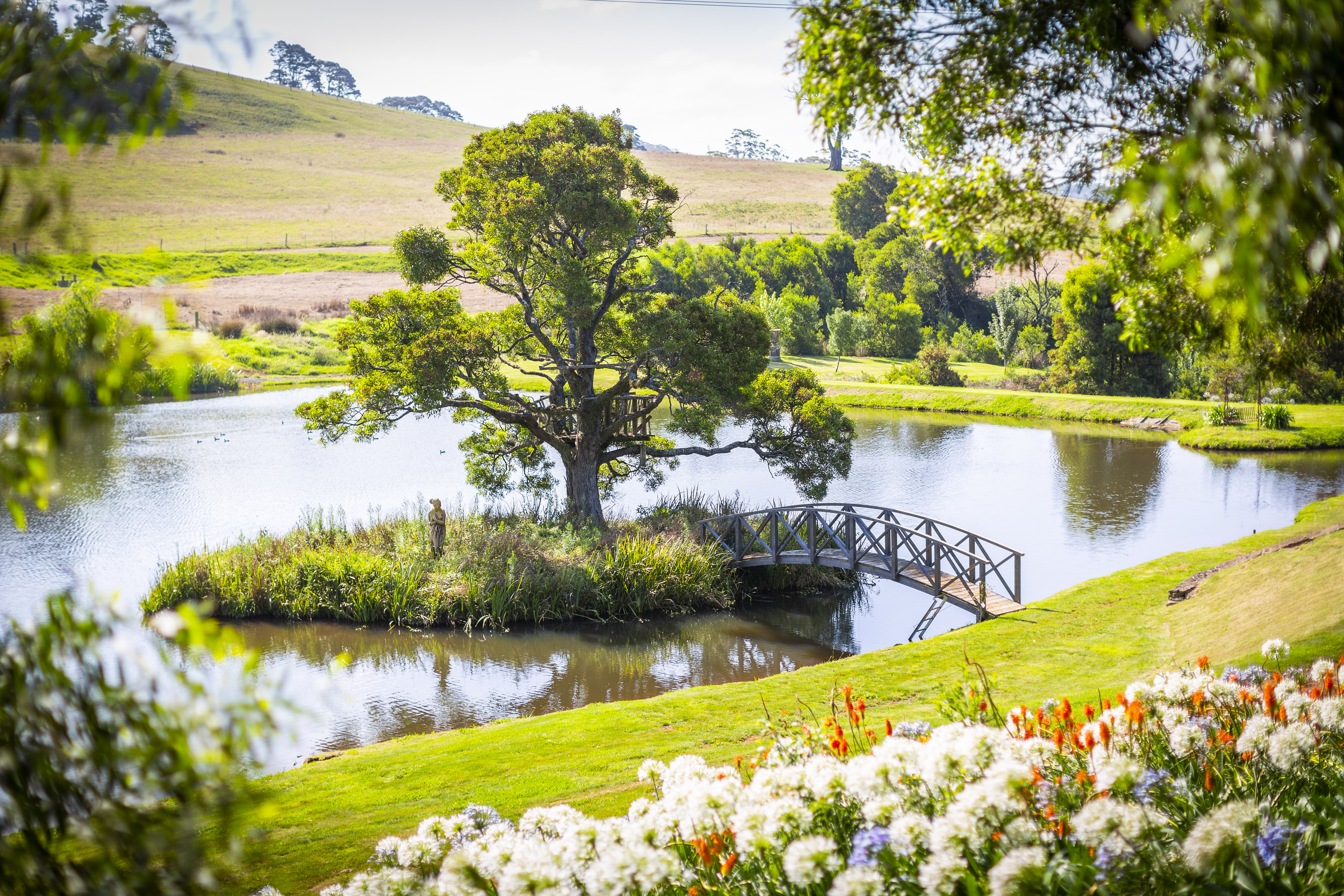 2128 Kangaloon Road, Kangaloon, NSW, 2576, Robertson - Thumbnail 6