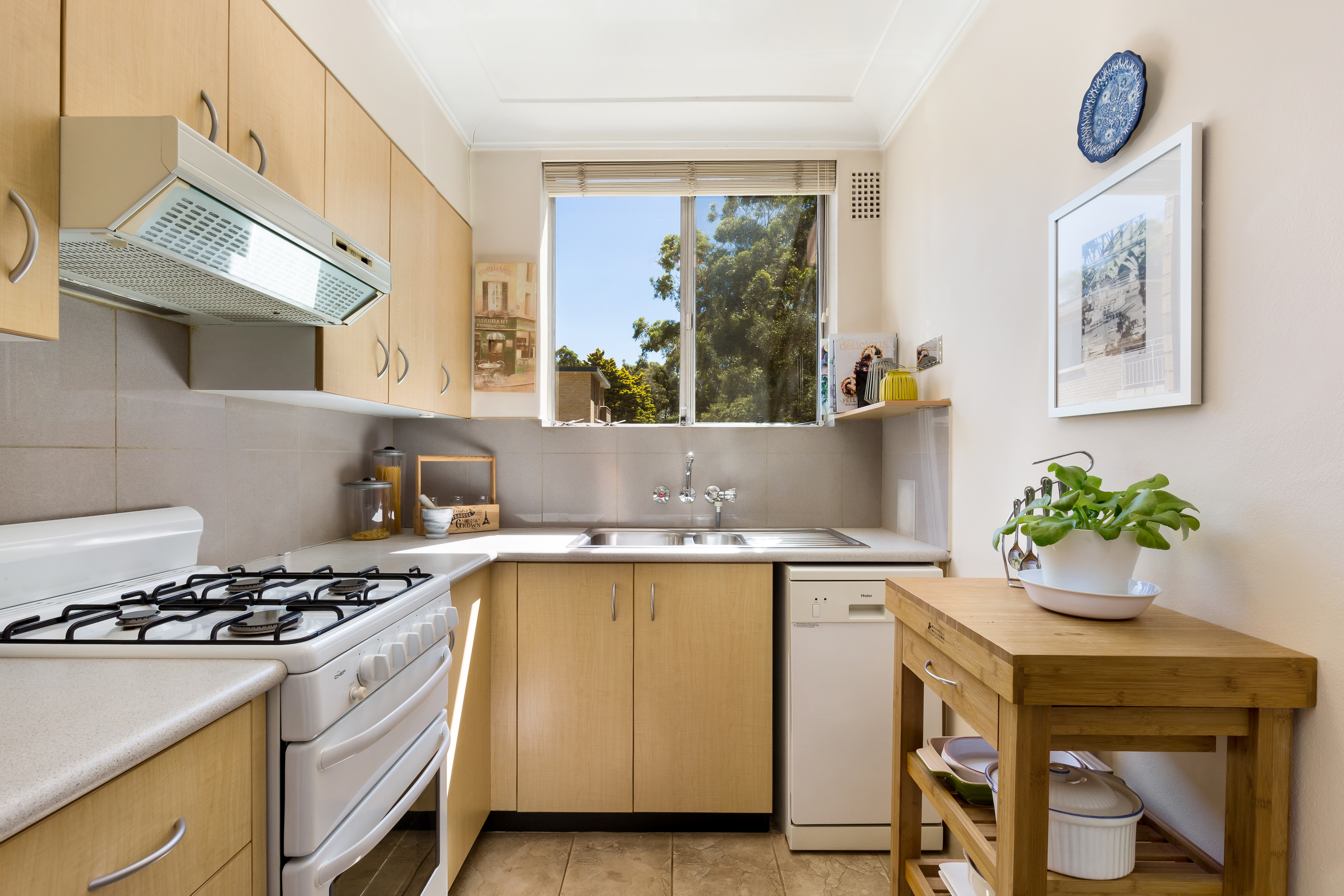 3/2 Murray Street, Lane Cove, NSW, 2066, Lane Cove - Thumbnail 2