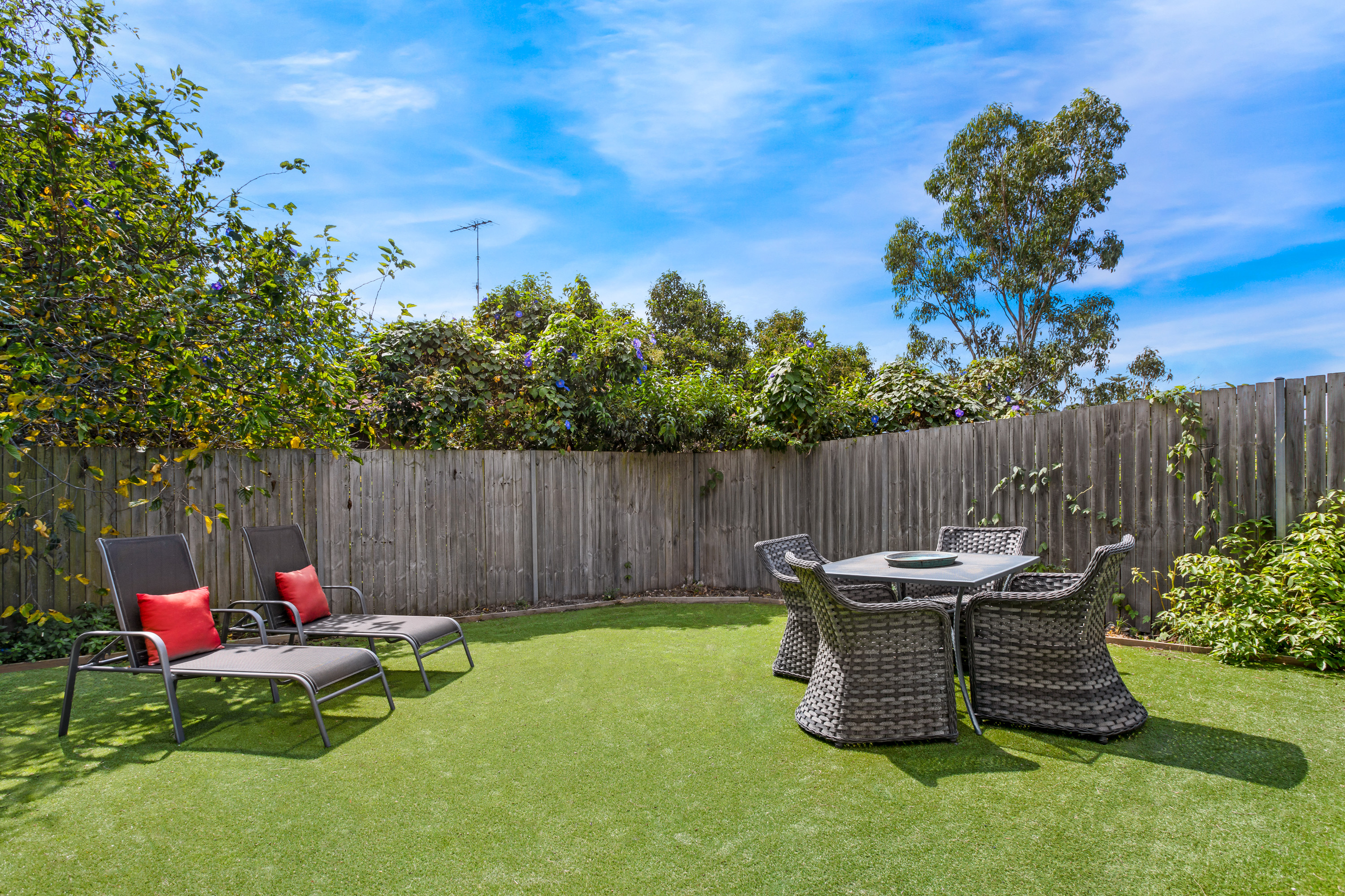 17 Wallace Street, Marrickville, NSW, 2204, Marrickville - Thumbnail 7