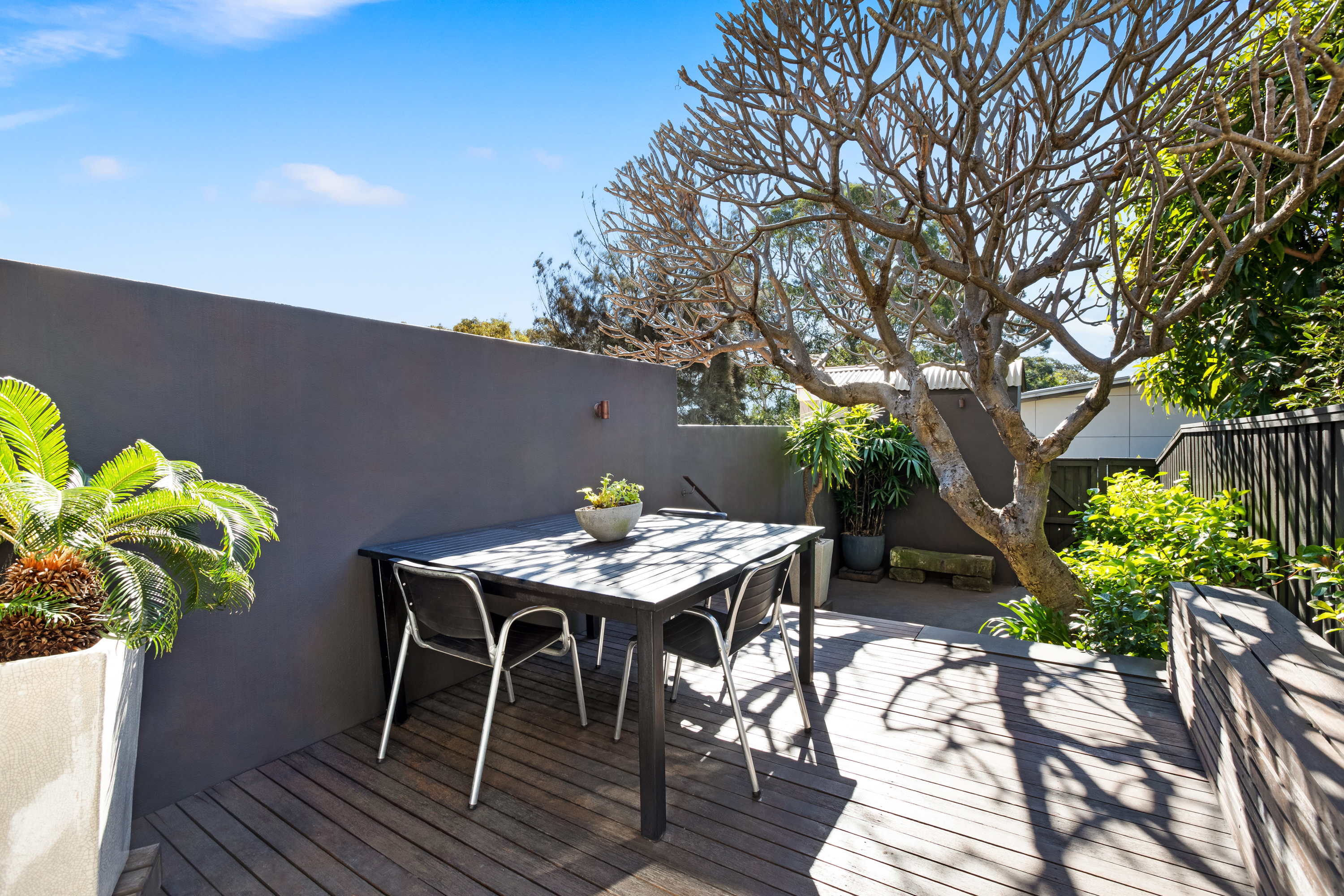 4 Gurner Street, Paddington, NSW, 2021, Paddington - Thumbnail 4