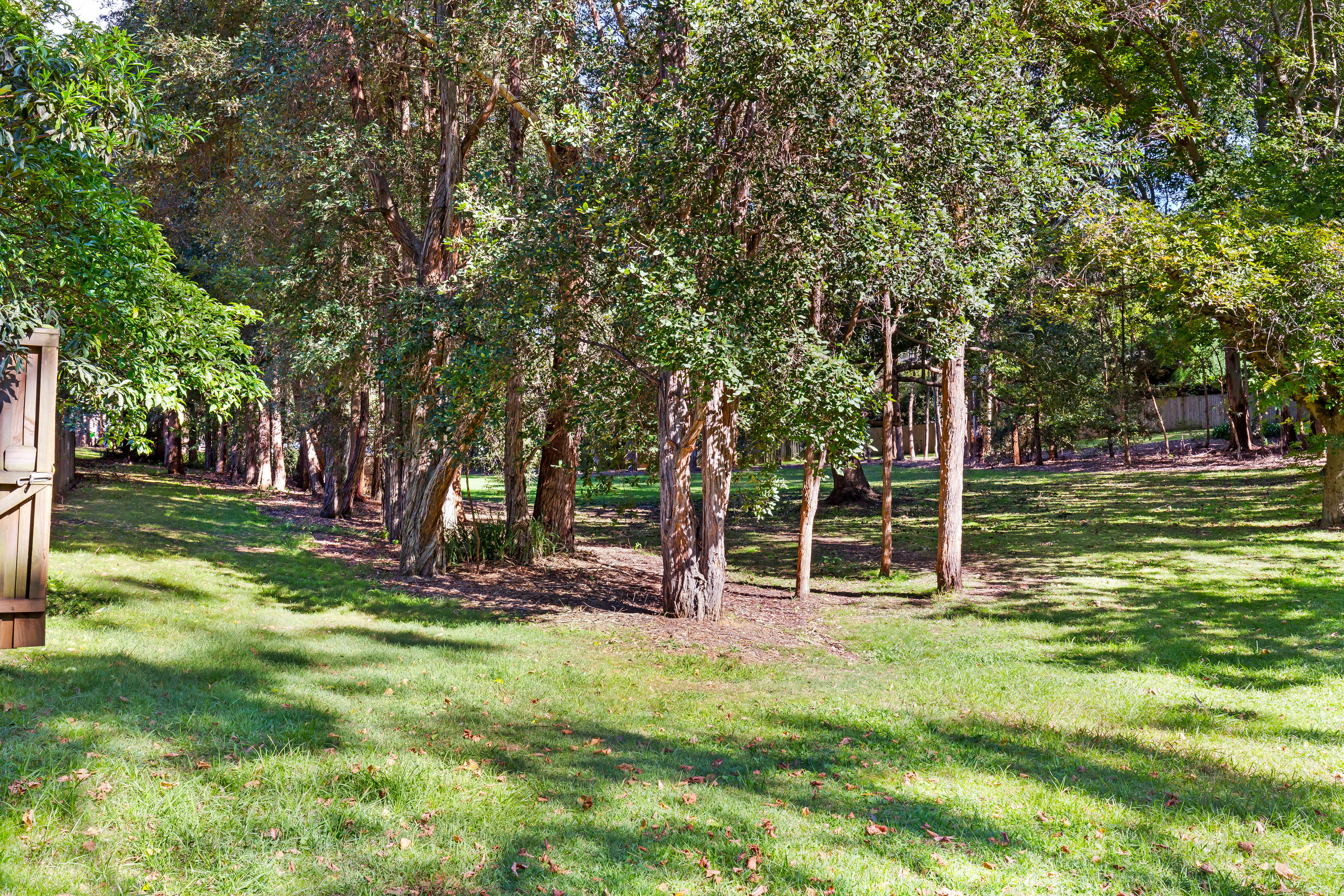10A Buckra Street, Turramurra, NSW, 2074, Turramurra - Thumbnail 8