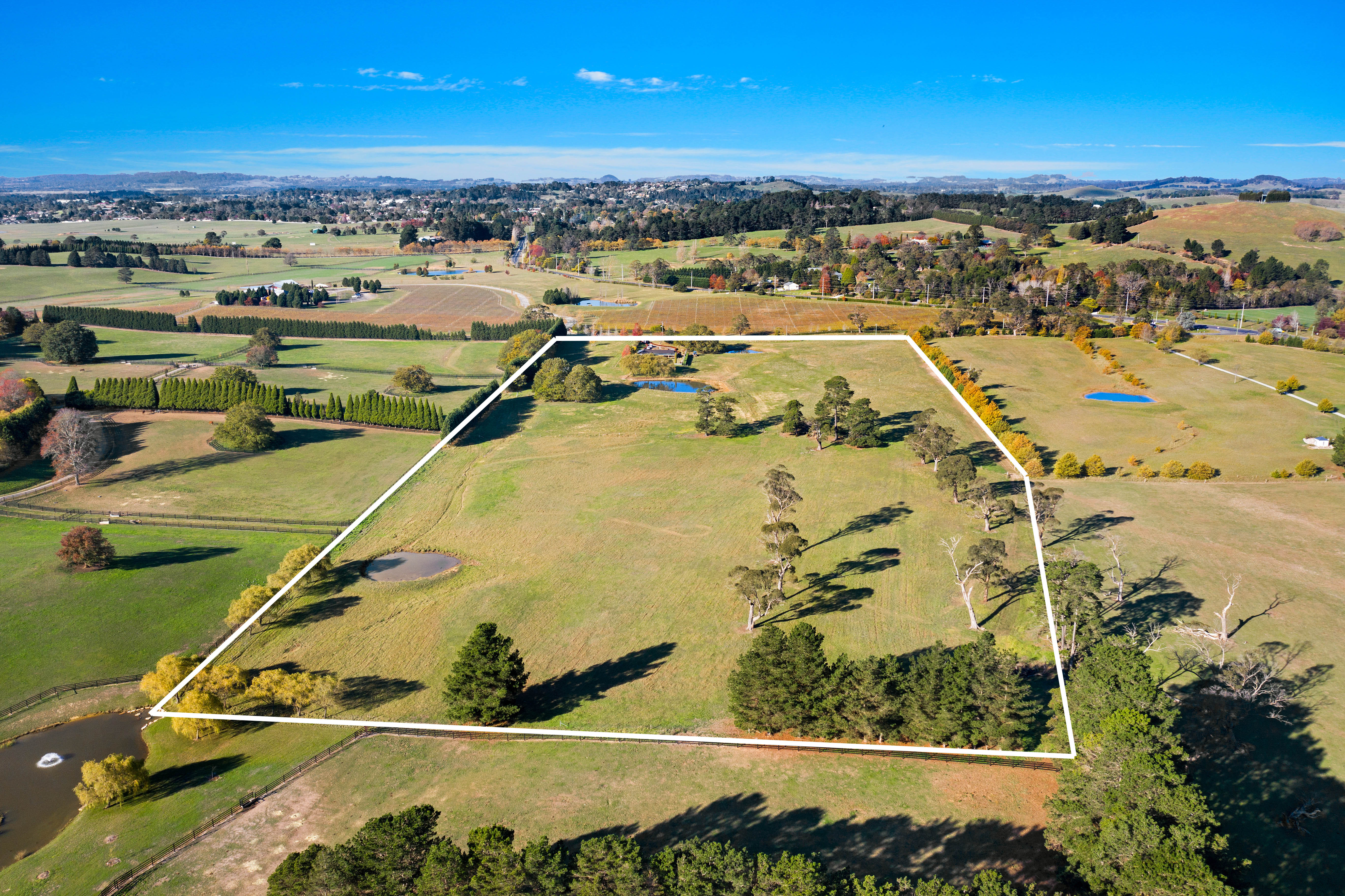 39 Oldbury Road, Sutton Forest, NSW, 2577, Sutton Forest - Thumbnail 3