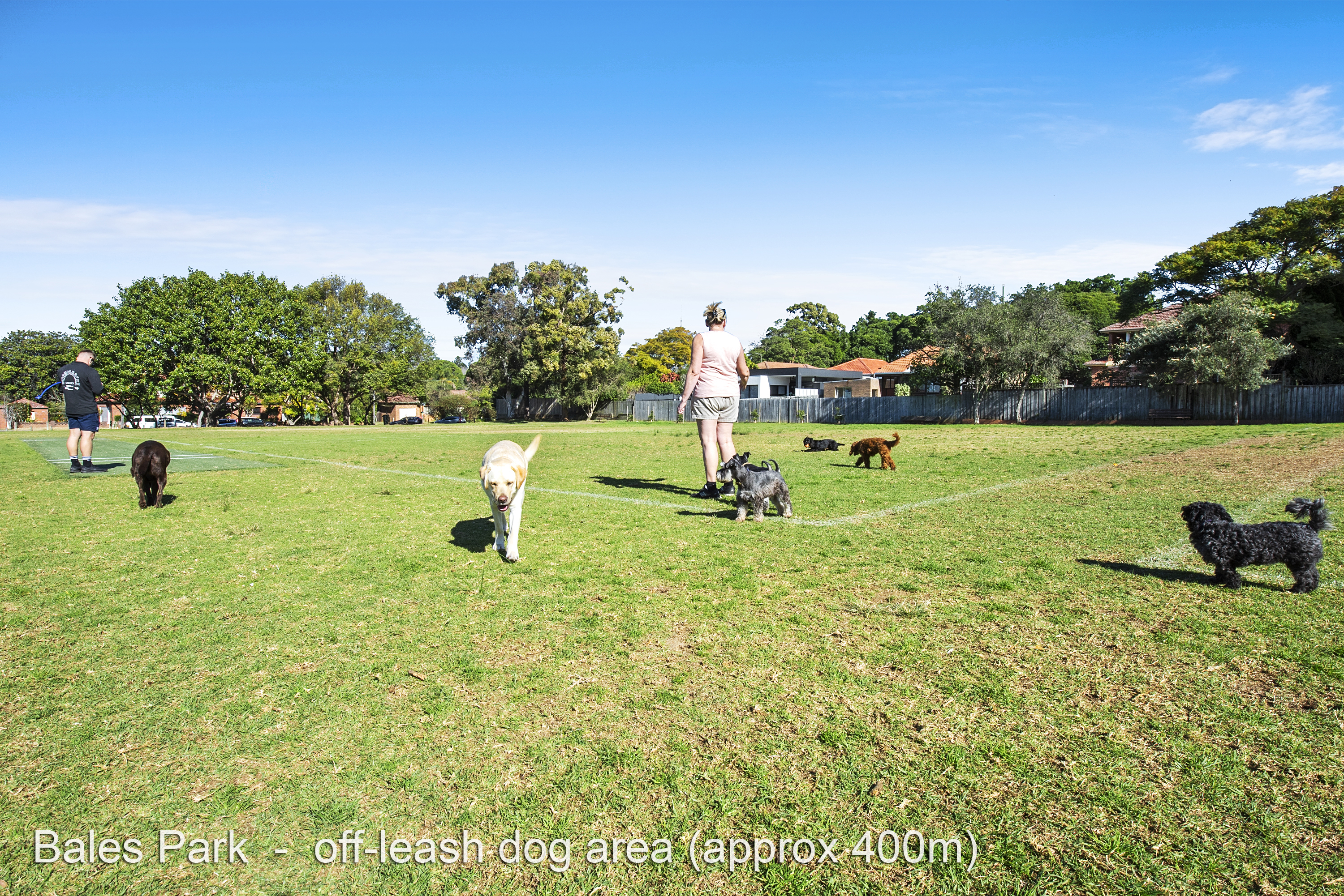 9/147-153 Sydney Street, North Willoughby, NSW, 2068, North Willoughby - Thumbnail 8