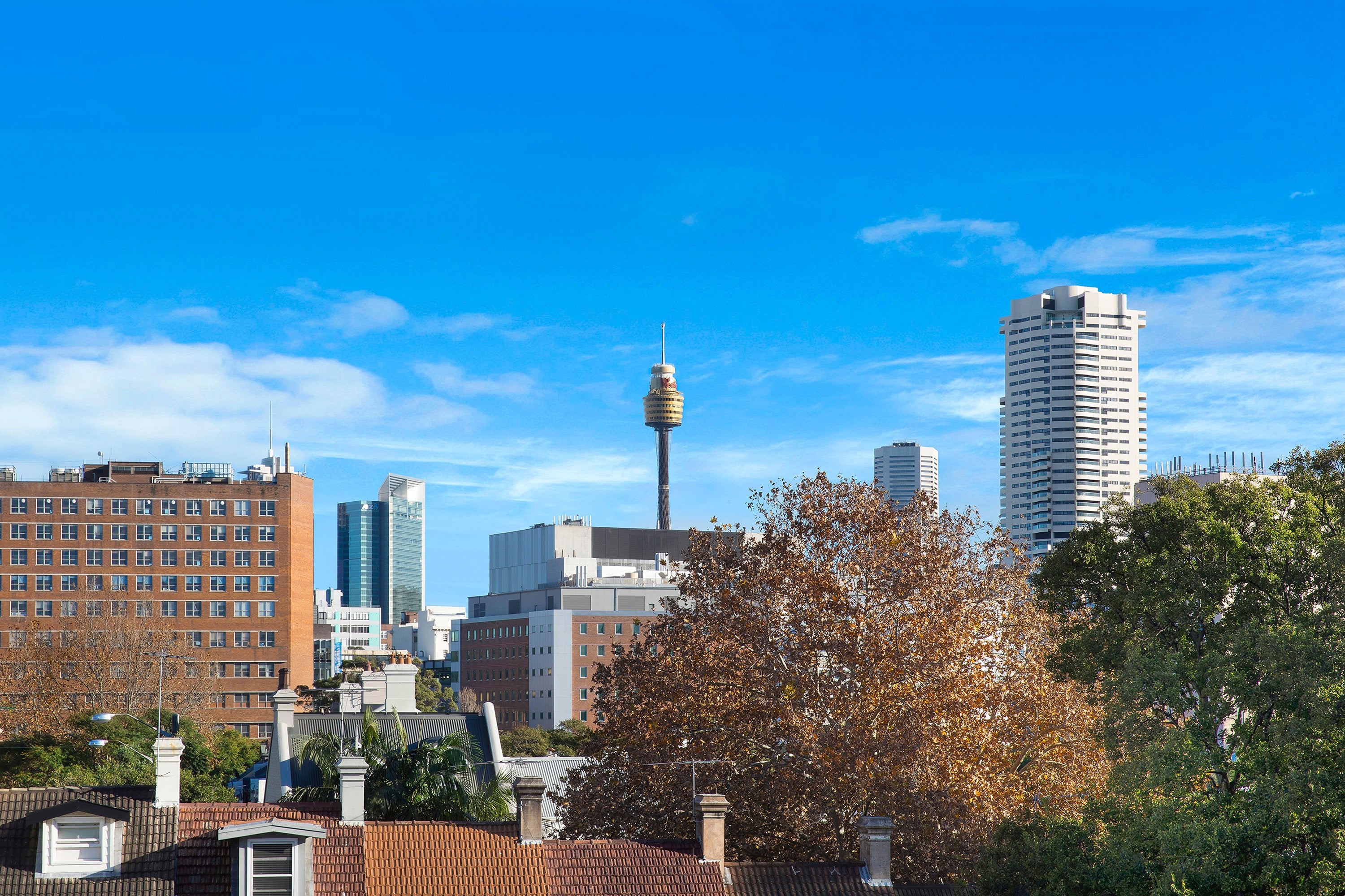 107/176 Glenmore Road, Paddington, NSW, 2021, Paddington - Thumbnail 6