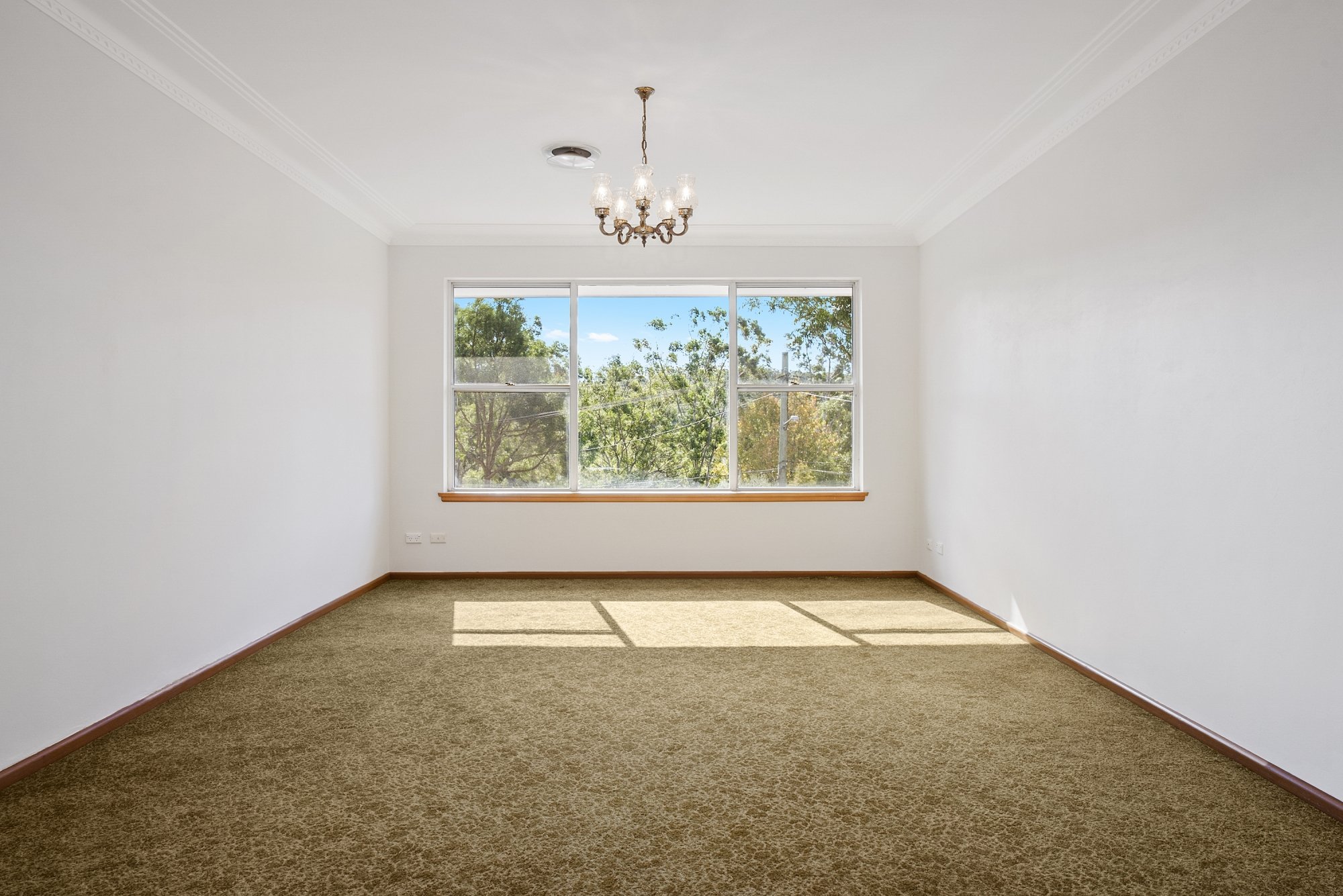 12 Norma Crescent, Cheltenham, NSW, 2119, Cheltenham - Thumbnail 3