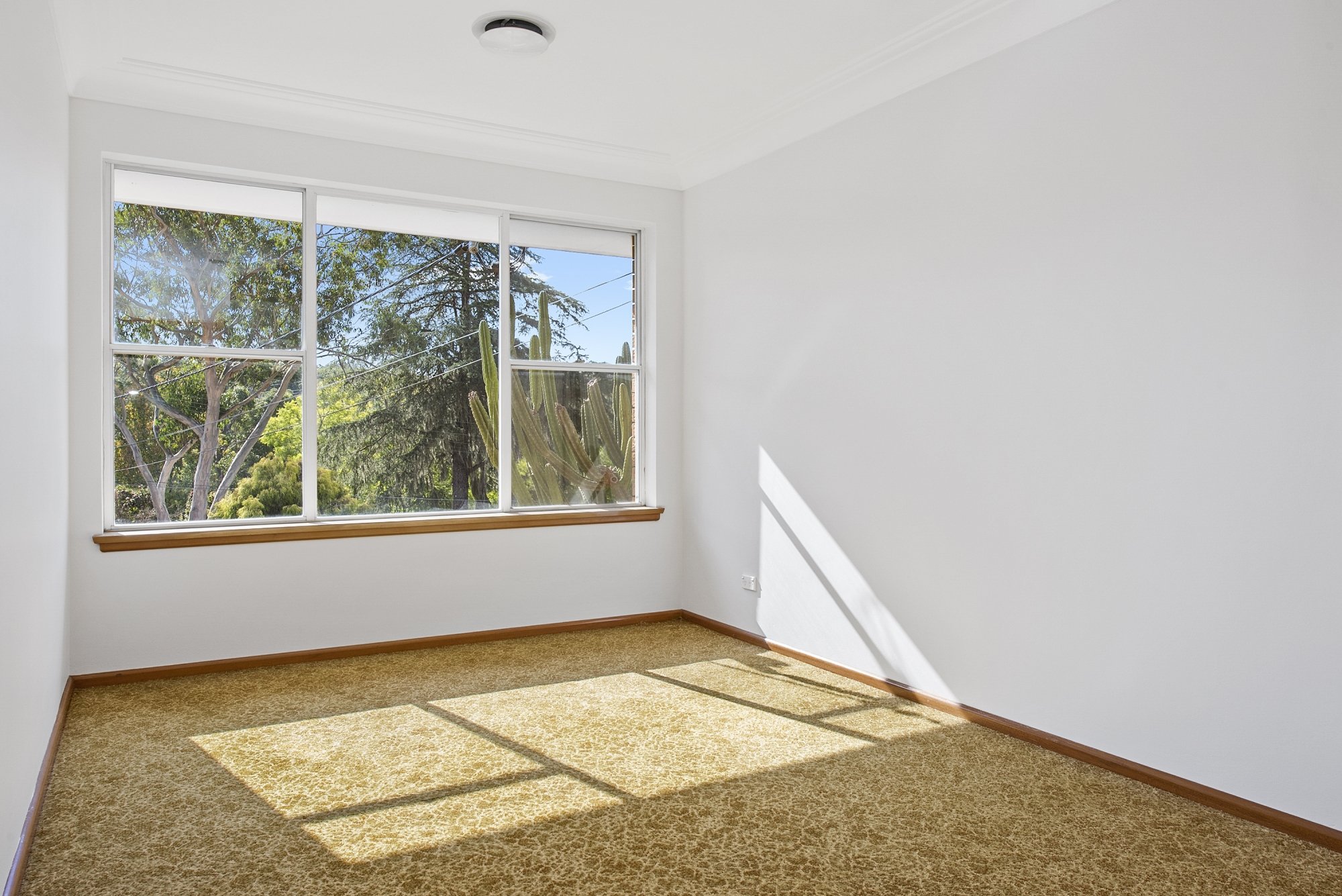 12 Norma Crescent, Cheltenham, NSW, 2119, Cheltenham - Thumbnail 4
