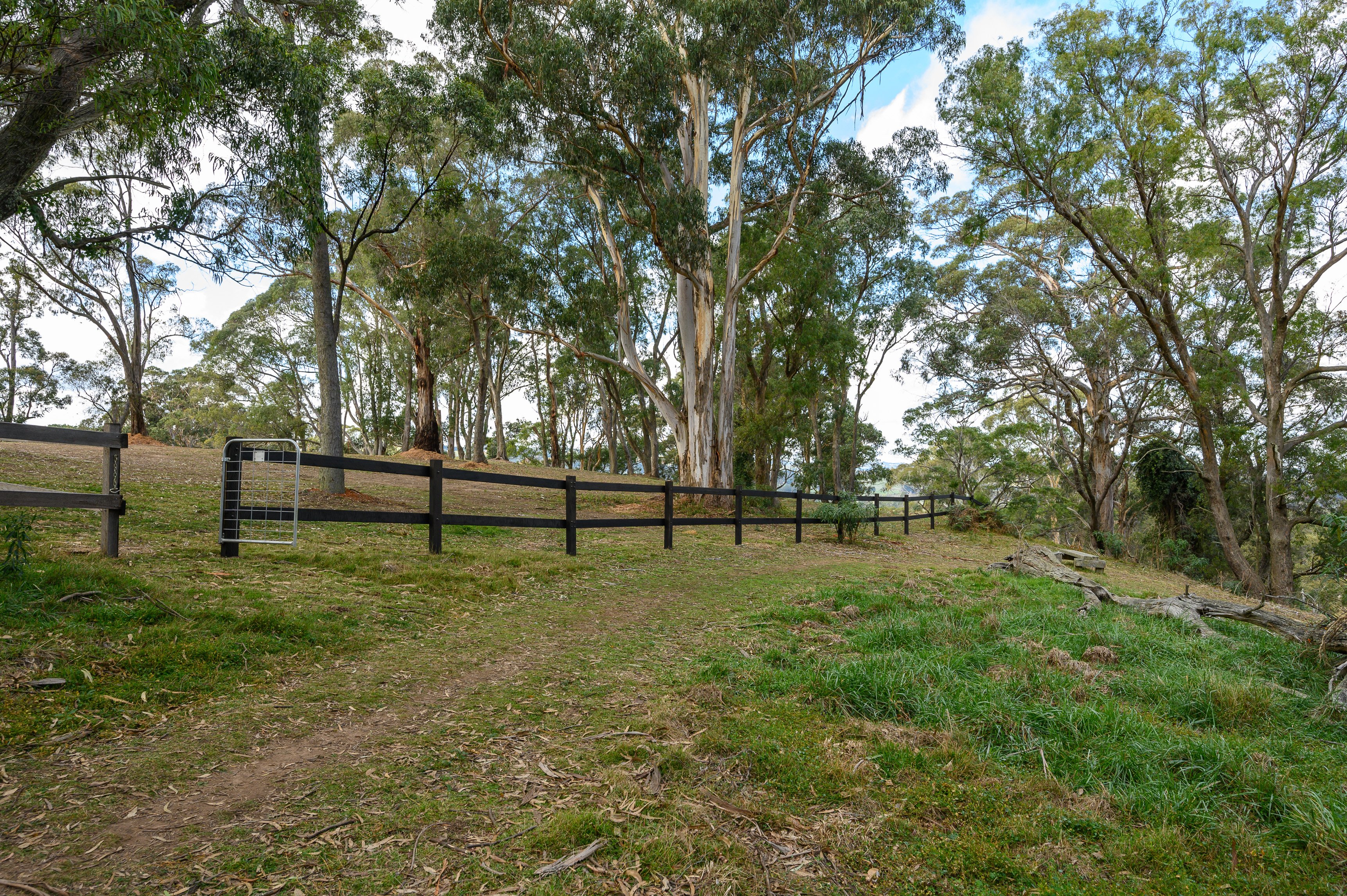 9 Bloomfield Close, Bowral, NSW, 2576, Bowral - Thumbnail 5