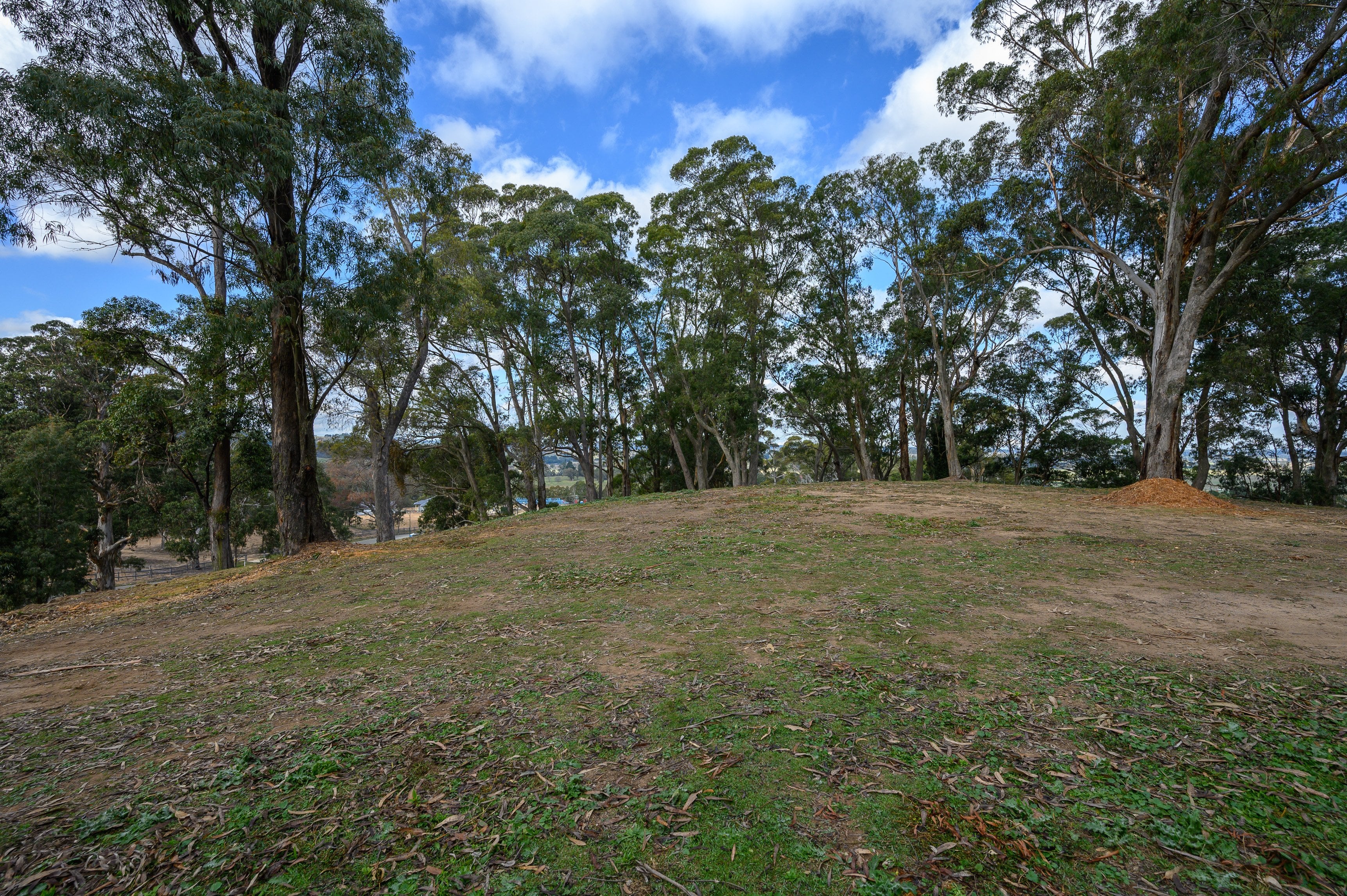 9 Bloomfield Close, Bowral, NSW, 2576, Bowral - Thumbnail 7