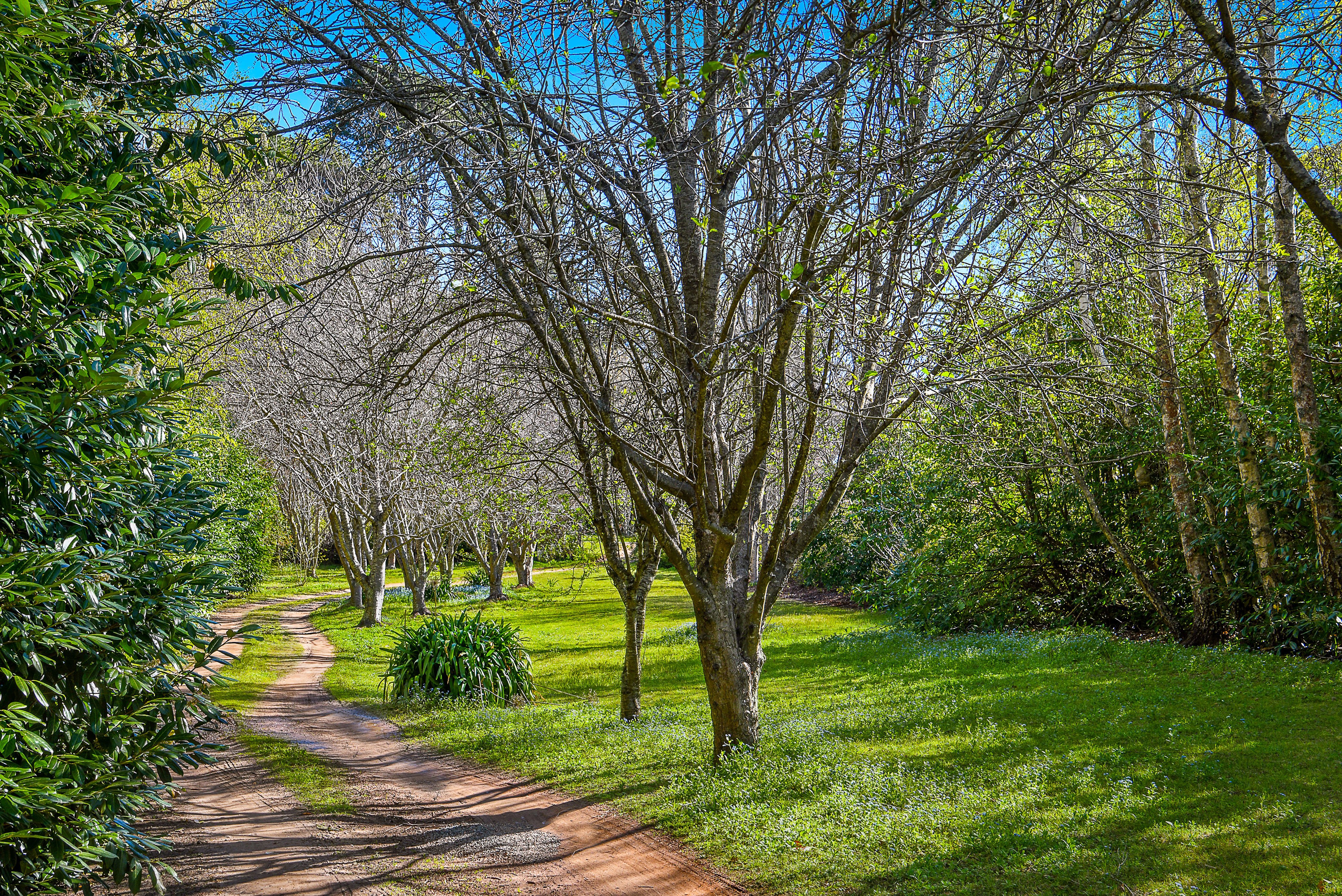 43 School Lane, Exeter, NSW, 2579, Exeter - Thumbnail 7