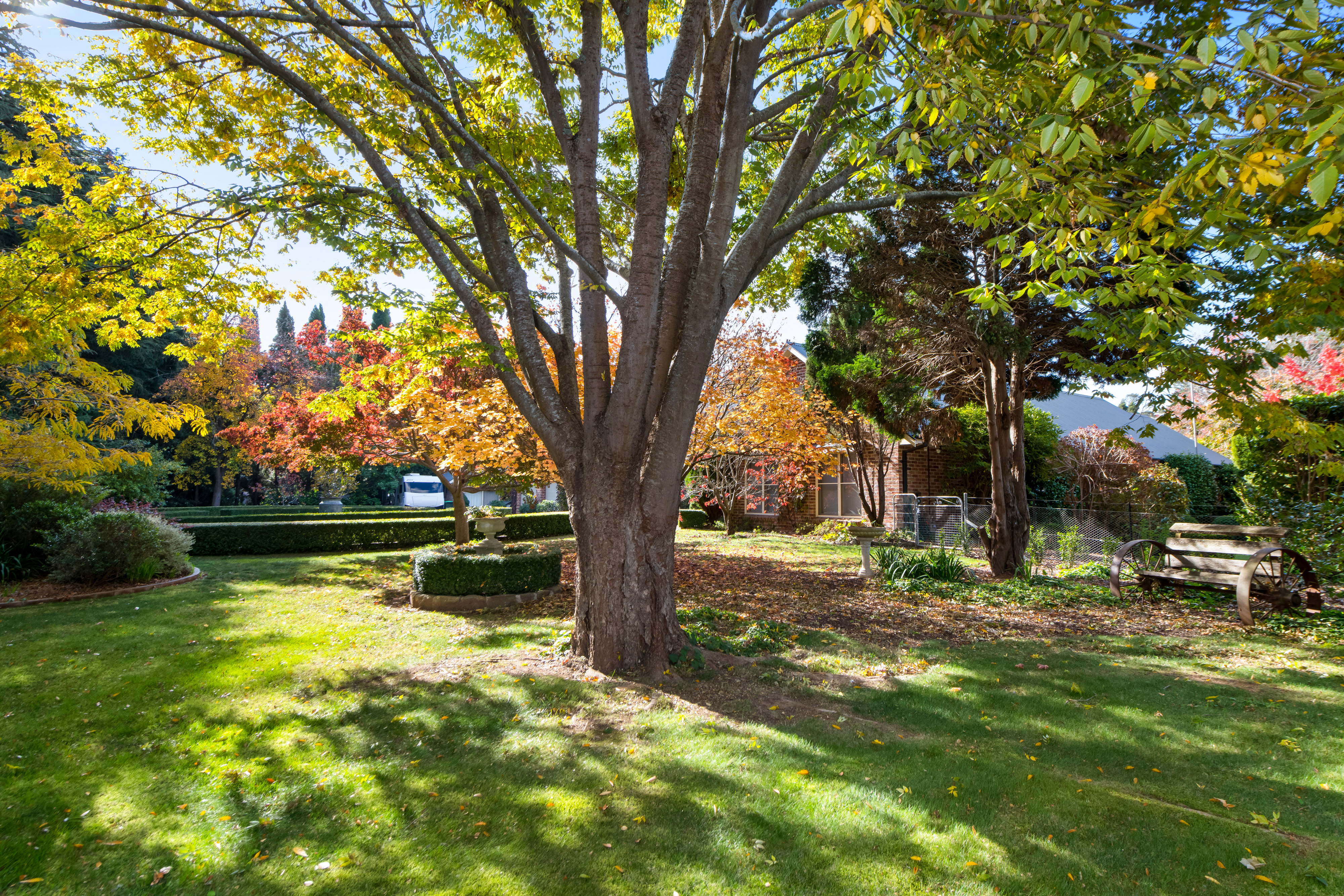 5 Sullivan Road, Burradoo, NSW, 2576, Burradoo - Thumbnail 6