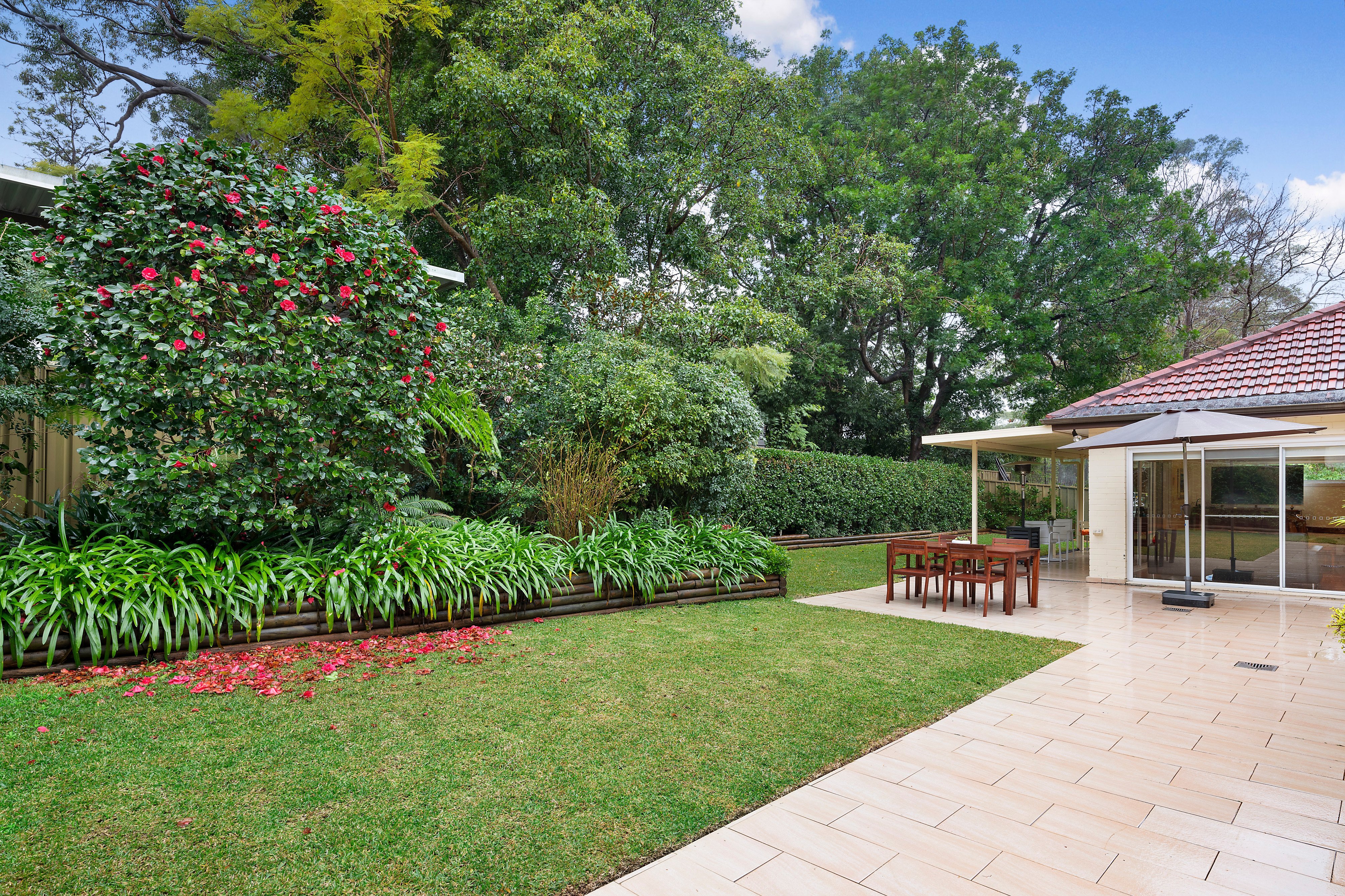 3 Ellsmore Avenue, Killara, NSW, 2071, Killara - Thumbnail 3