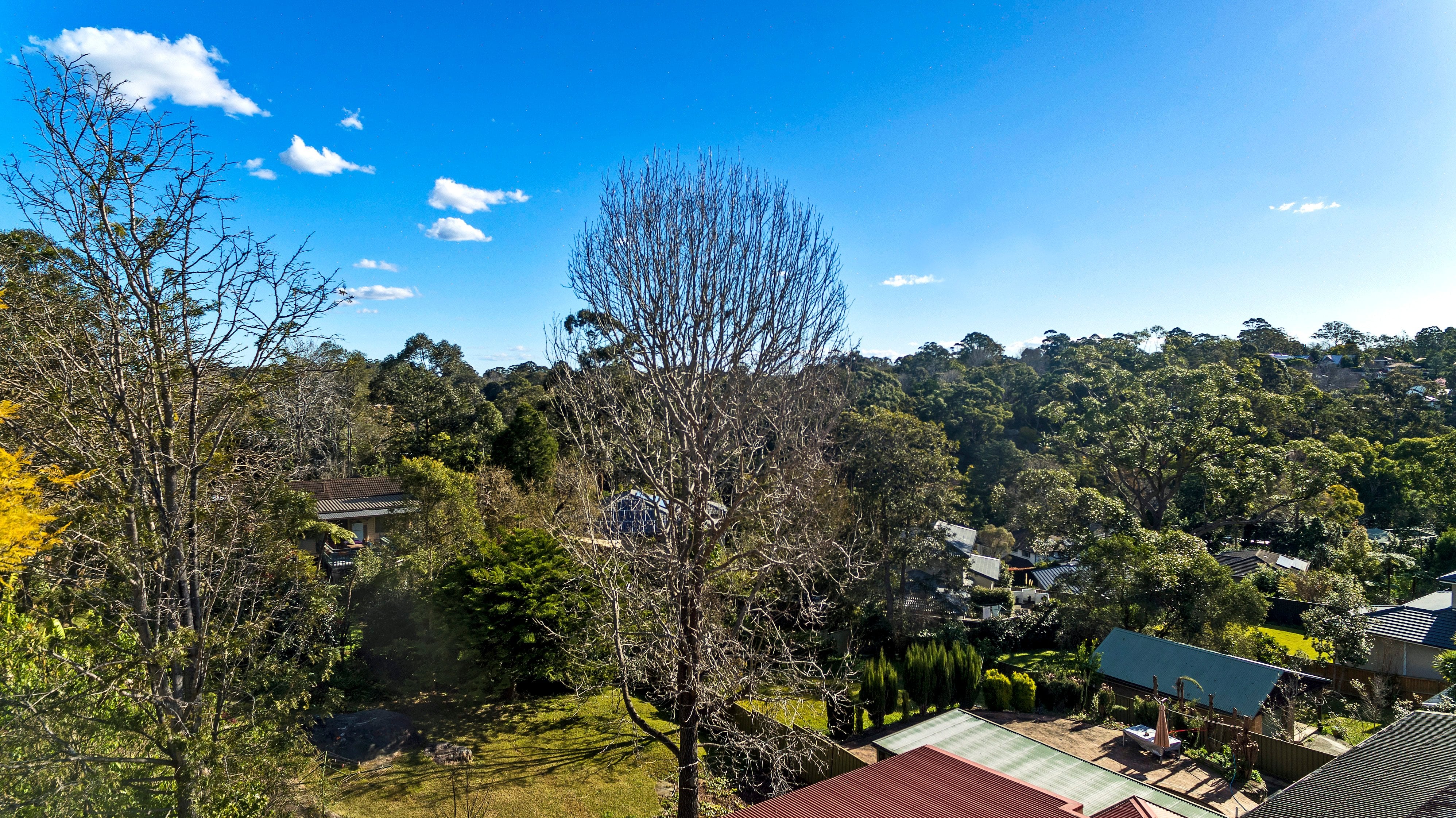 47 Mimosa Road, Turramurra, NSW, 2074, Turramurra - Thumbnail 6