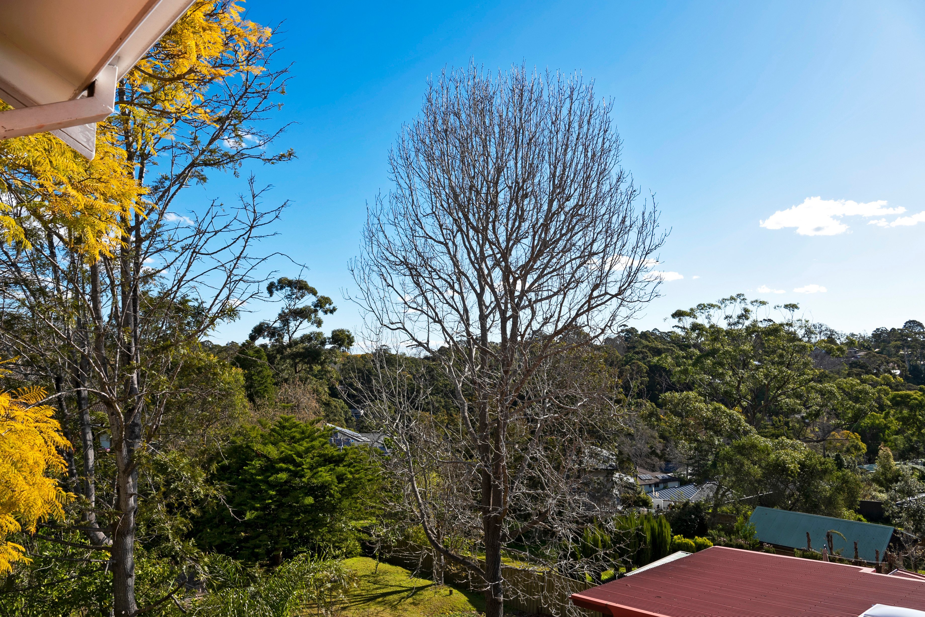 47 Mimosa Road, Turramurra, NSW, 2074, Turramurra - Thumbnail 8