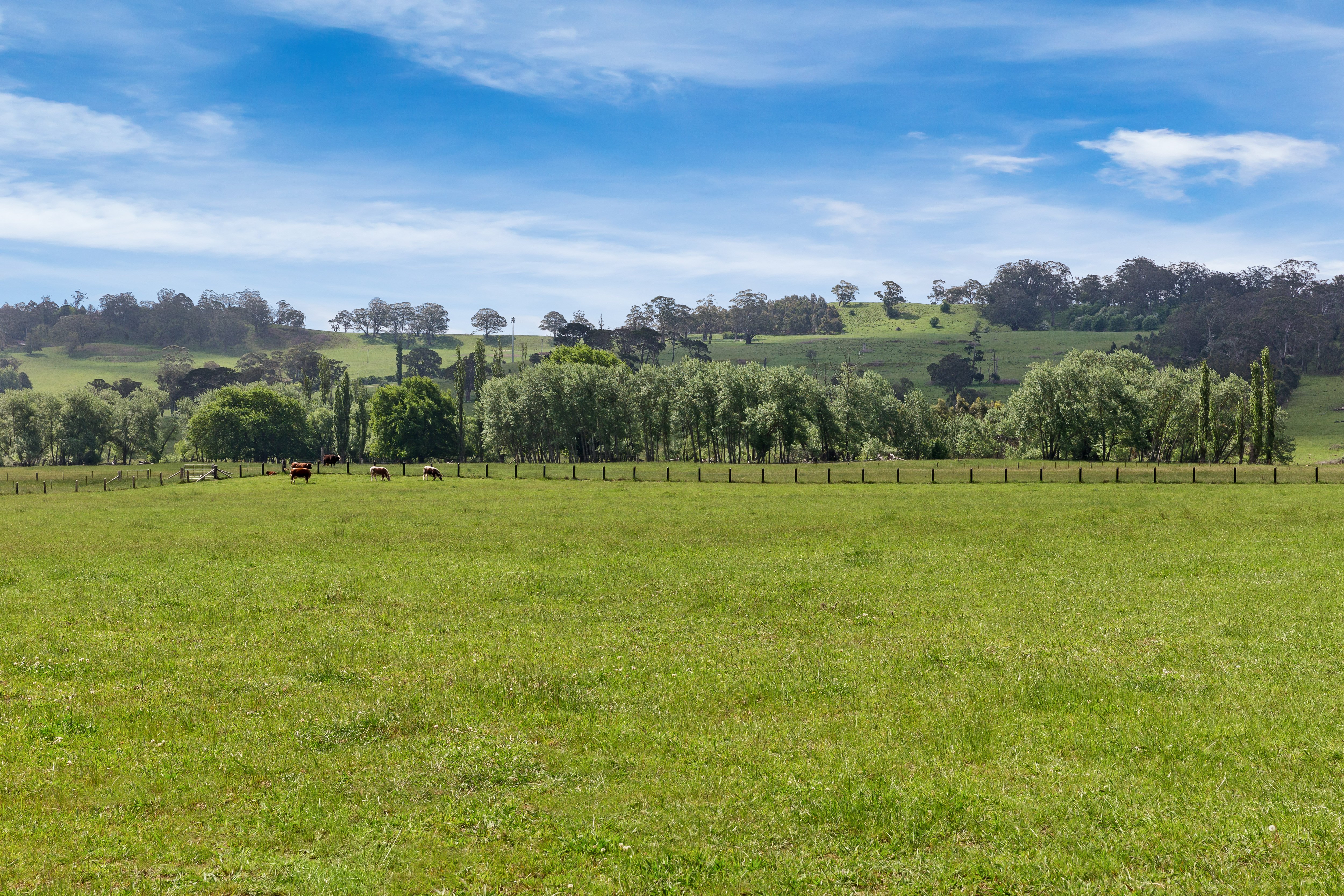 1 Herald Drive, Bowral, NSW, 2576, Bowral - Thumbnail 2