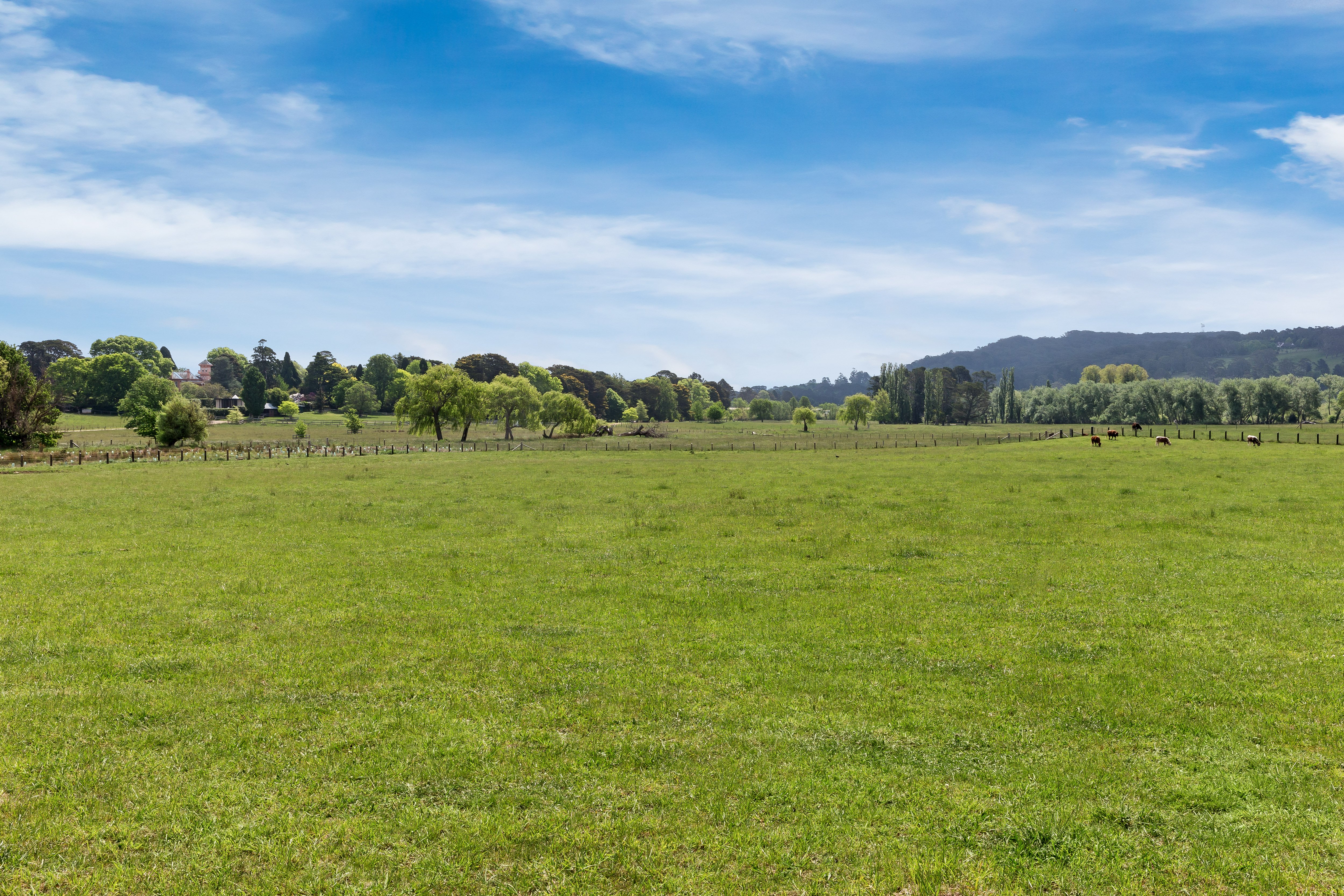 1 Herald Drive, Bowral, NSW, 2576, Bowral - Thumbnail 3