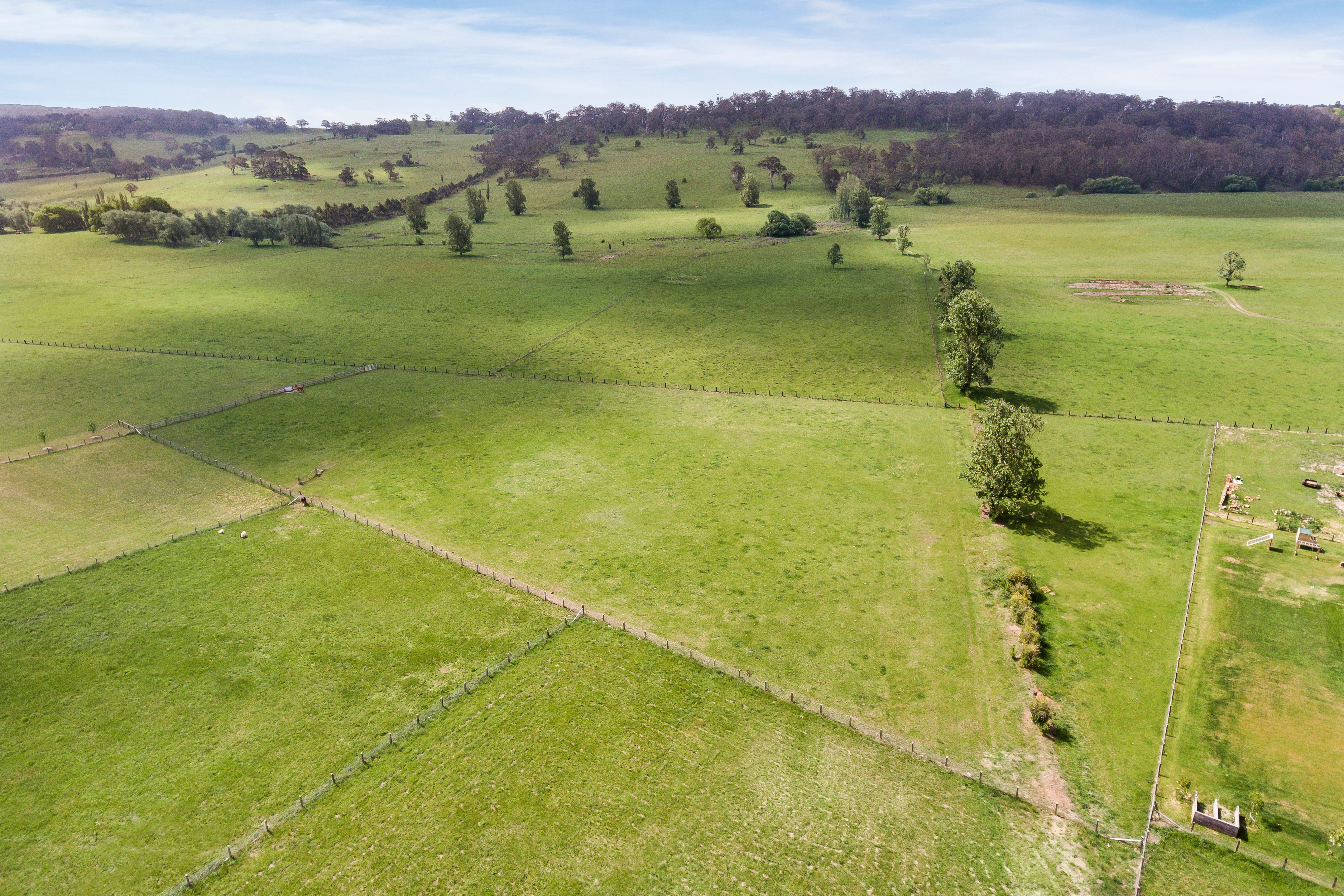 1 Herald Drive, Bowral, NSW, 2576, Bowral - Thumbnail 4