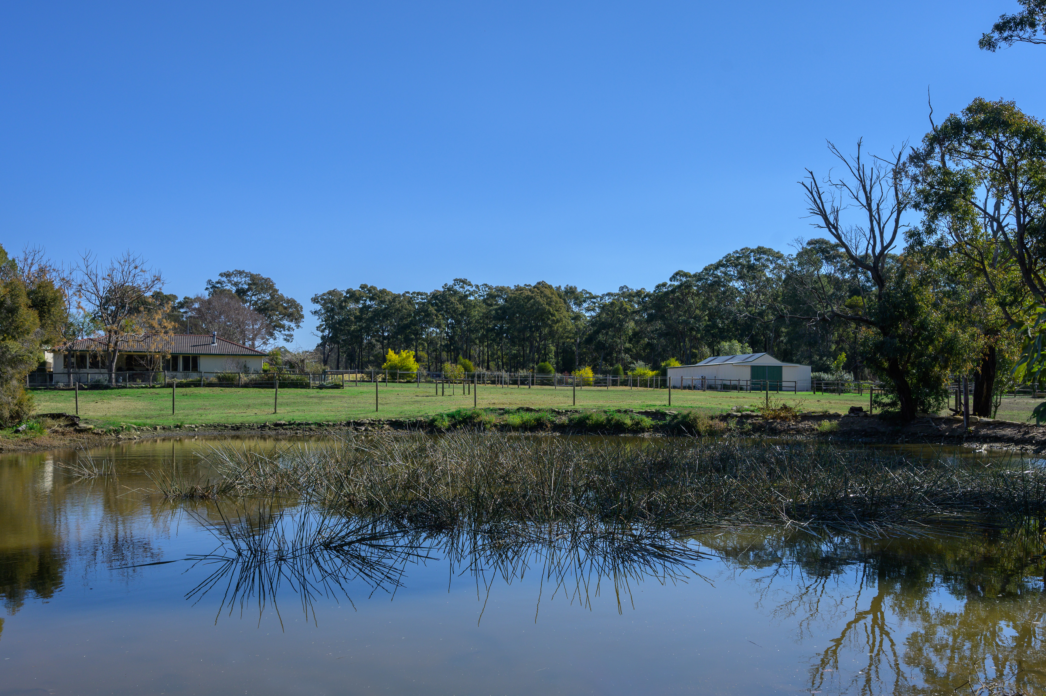 10 Wellers Road, Bargo, NSW, 2574, Bargo - Thumbnail 5