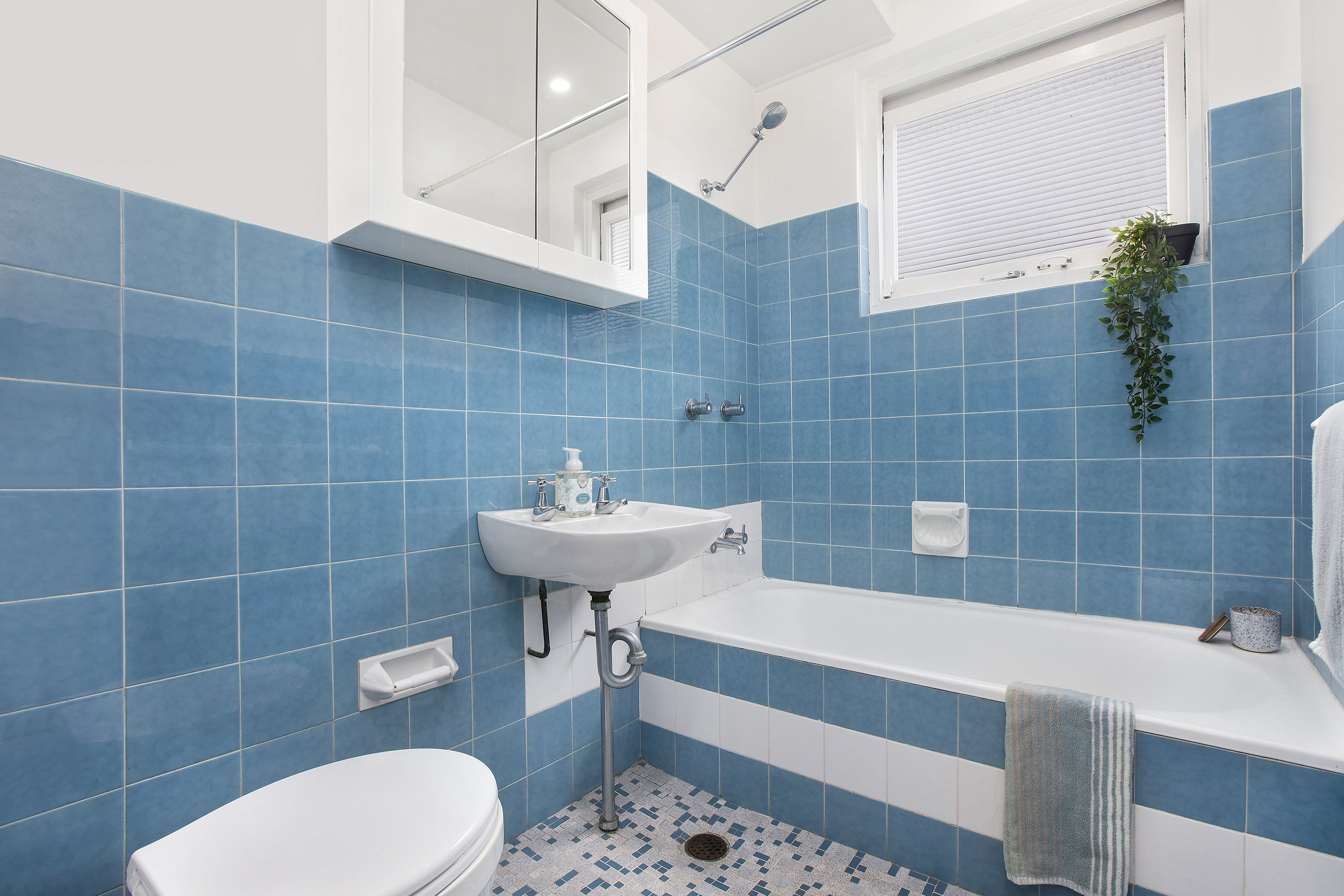 1/22 Campbell Street, Clovelly, NSW, 2031, Clovelly - Thumbnail 5