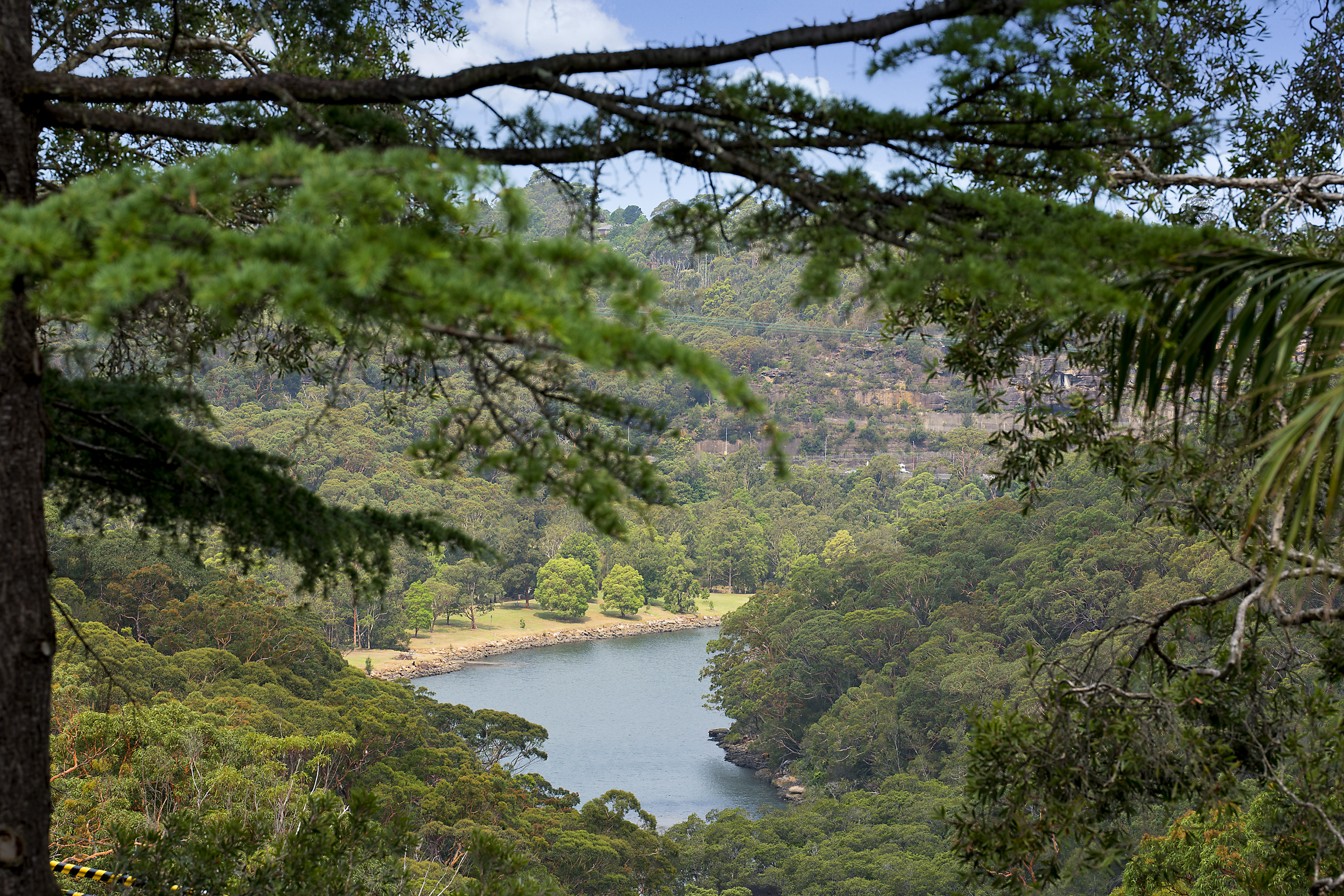 33 Carlyle Road, East Lindfield, NSW, 2070, East Lindfield - Thumbnail 2
