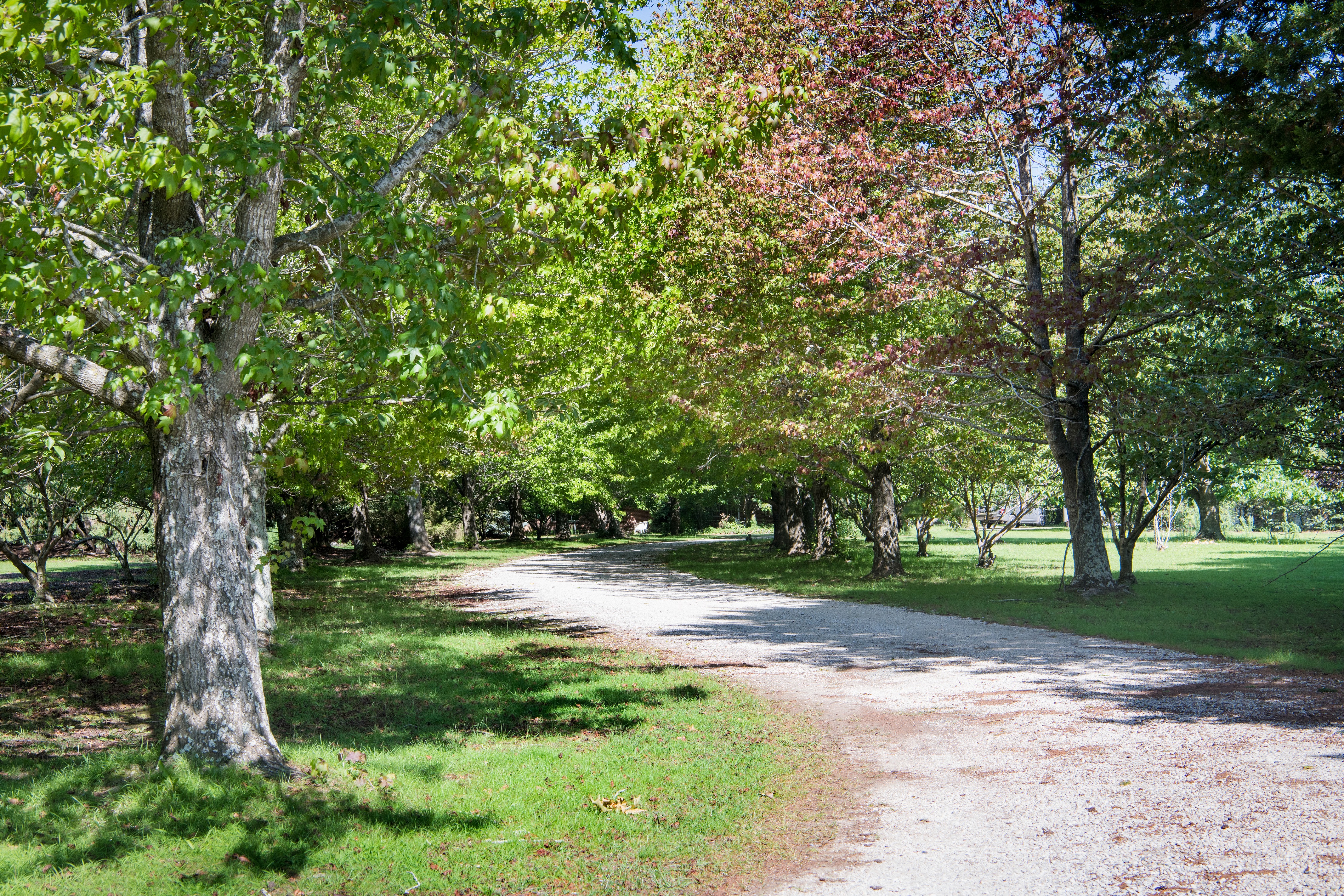 261 Exeter Road, Sutton Forest, NSW, 2577, Sutton Forest - Thumbnail 2