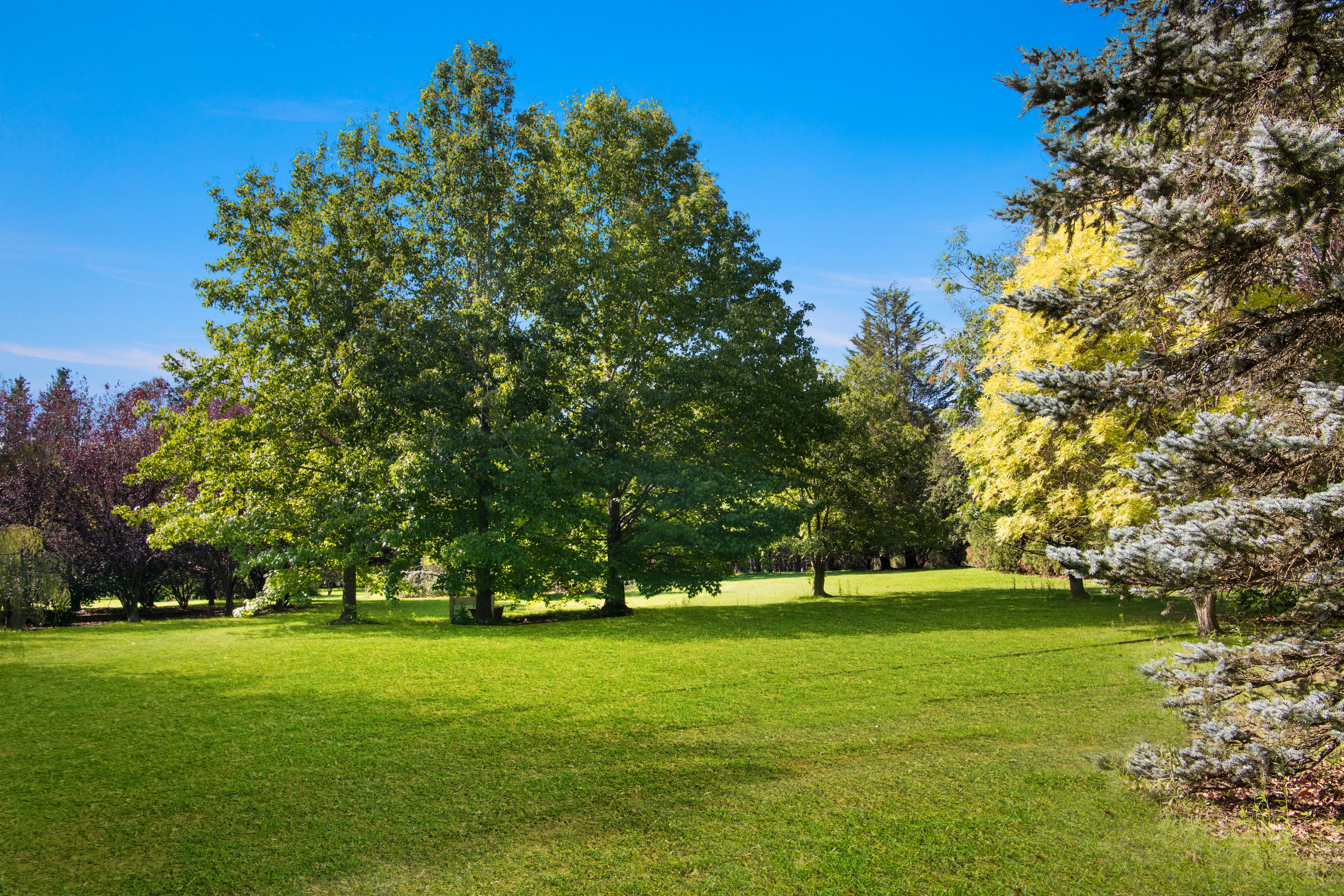 261 Exeter Road, Sutton Forest, NSW, 2577, Sutton Forest - Thumbnail 4