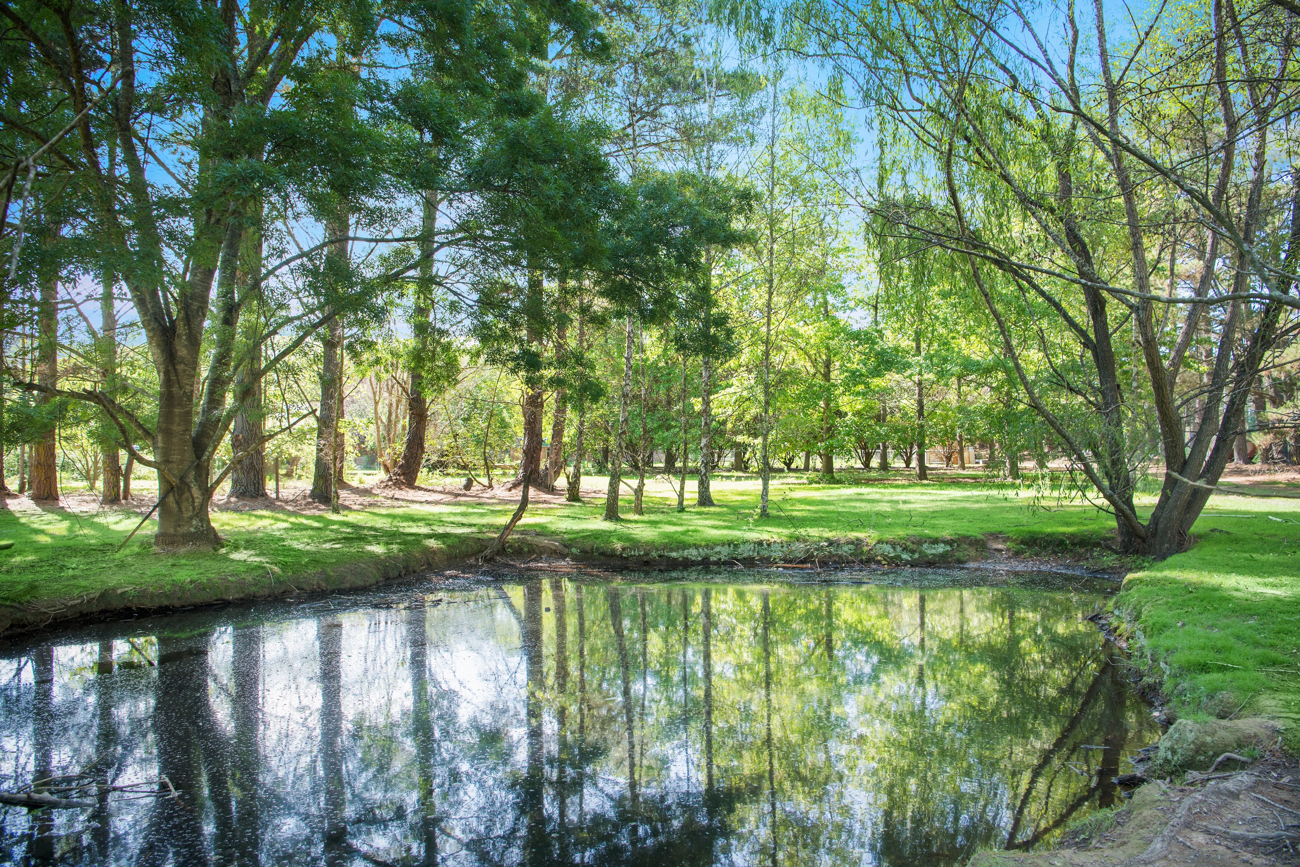 261 Exeter Road, Sutton Forest, NSW, 2577, Sutton Forest - Thumbnail 8